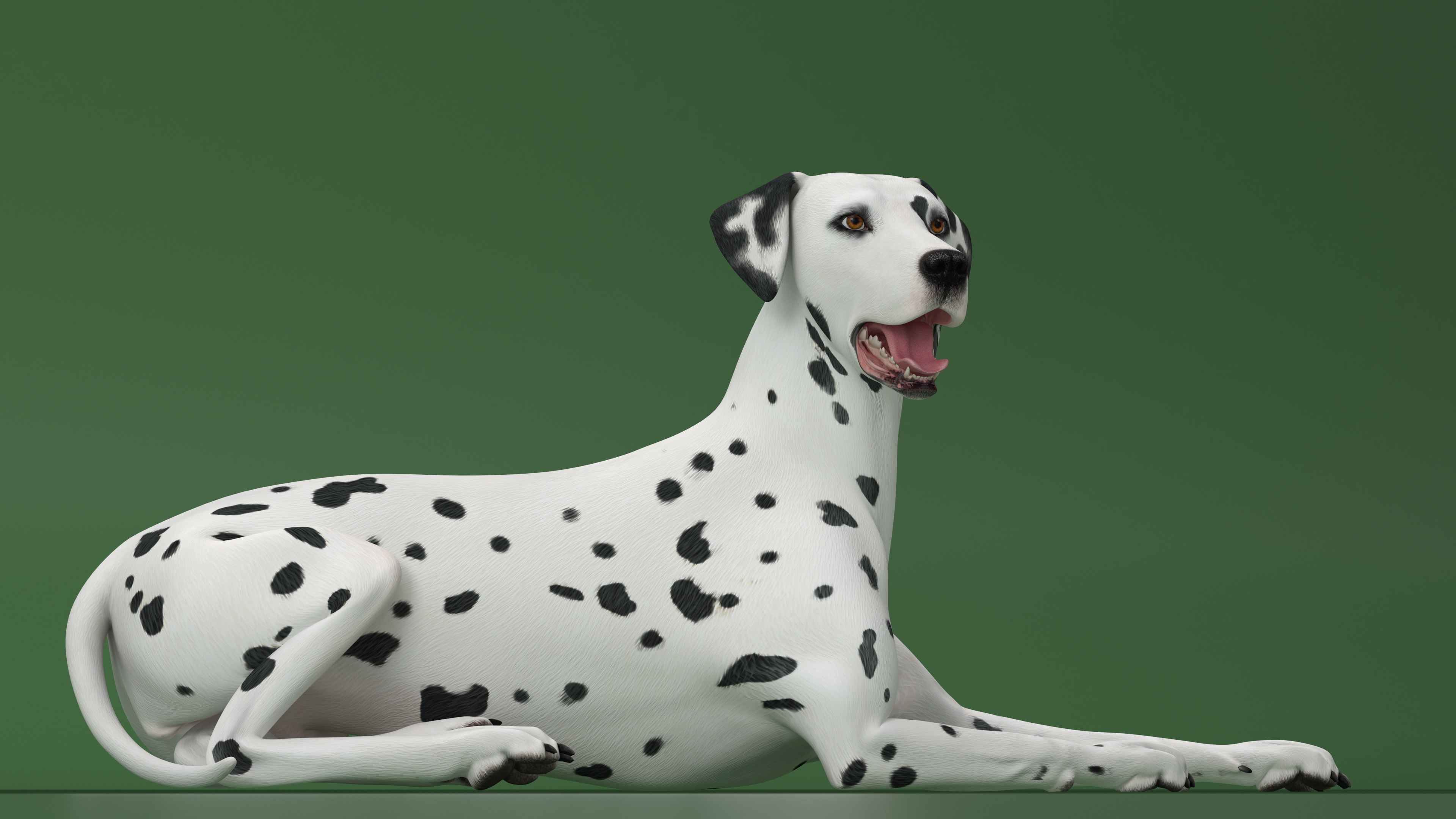 Lying Dalmatian Dog 3D model