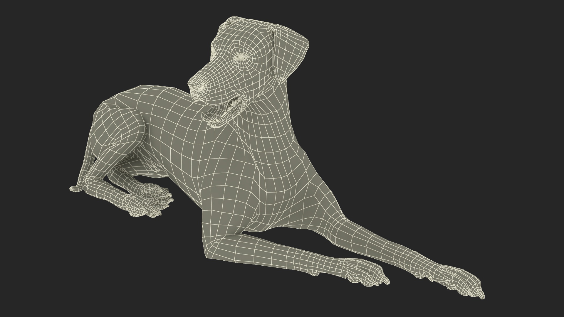 Lying Dalmatian Dog 3D model