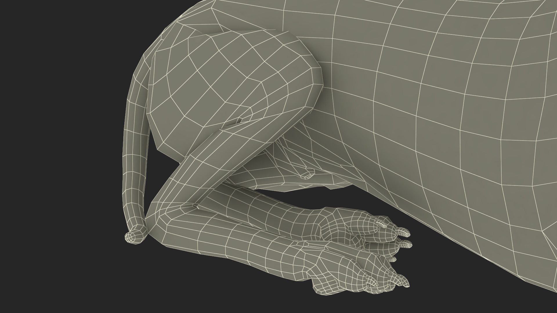 Lying Dalmatian Dog 3D model