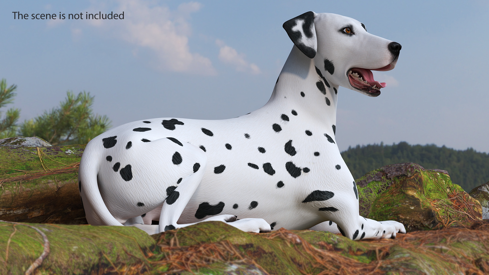 Lying Dalmatian Dog 3D model