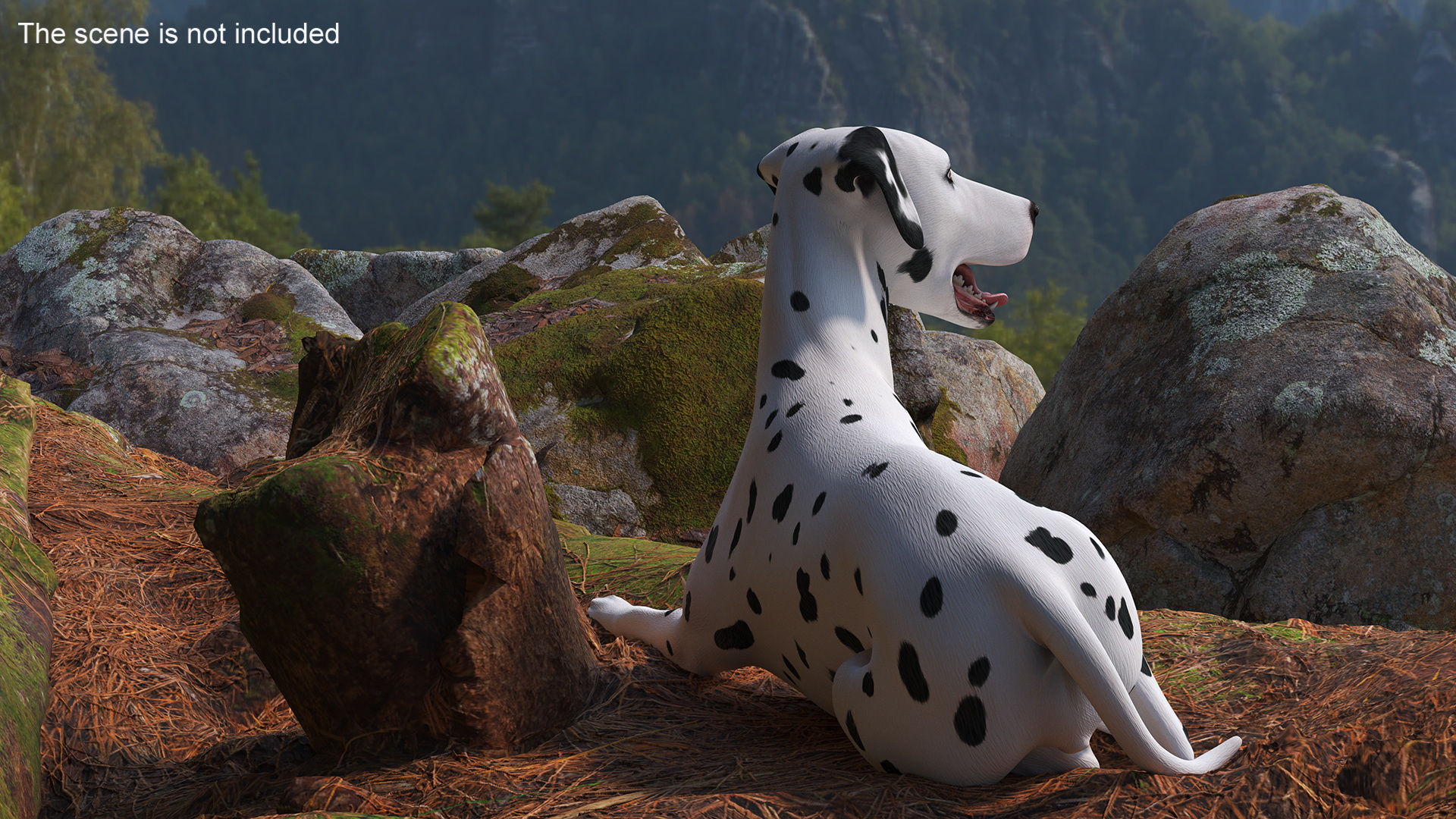 Lying Dalmatian Dog 3D model
