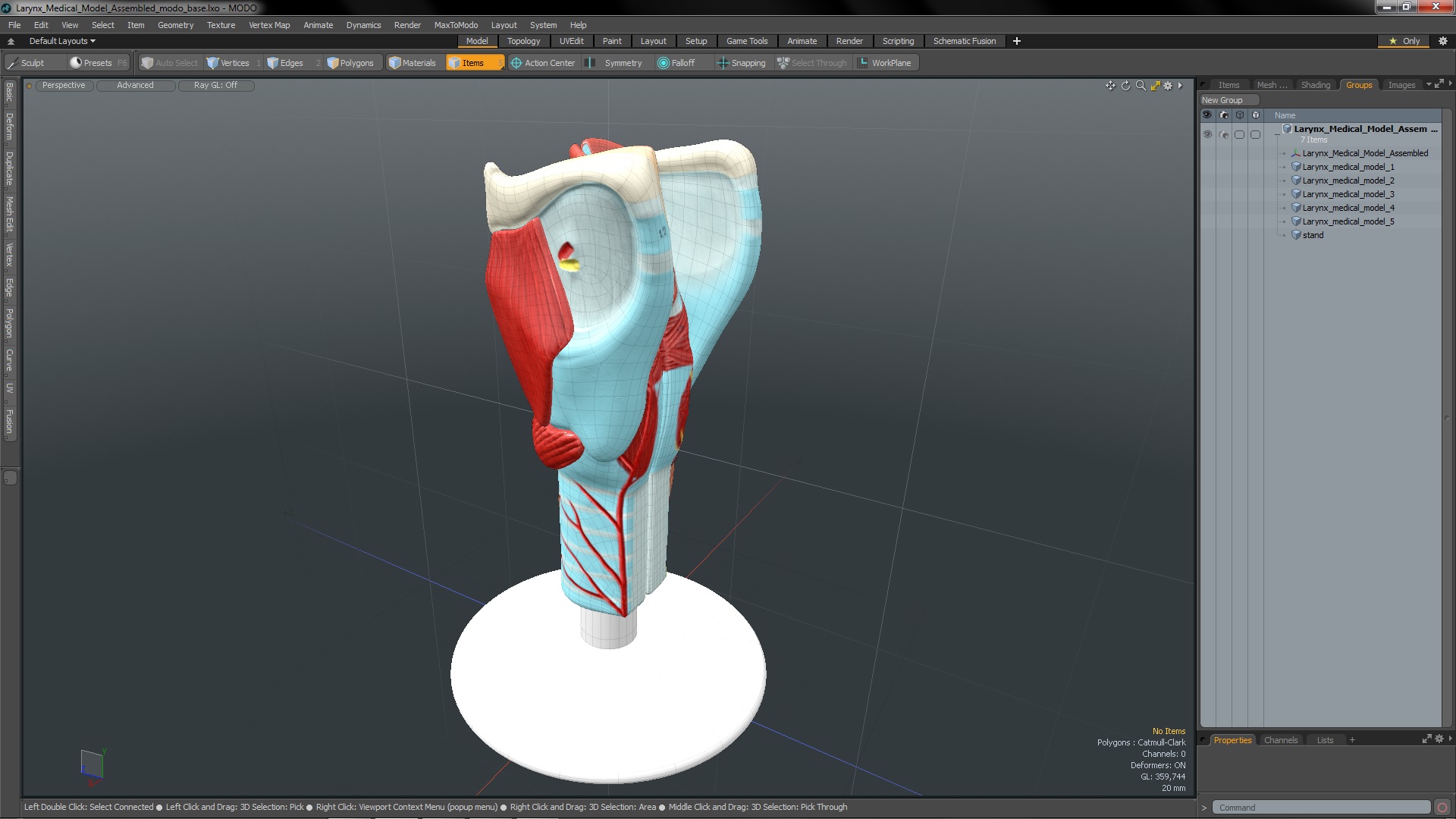 3D model Larynx Medical Model Assembled