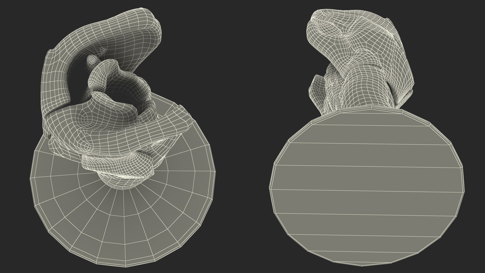 3D model Larynx Medical Model Assembled