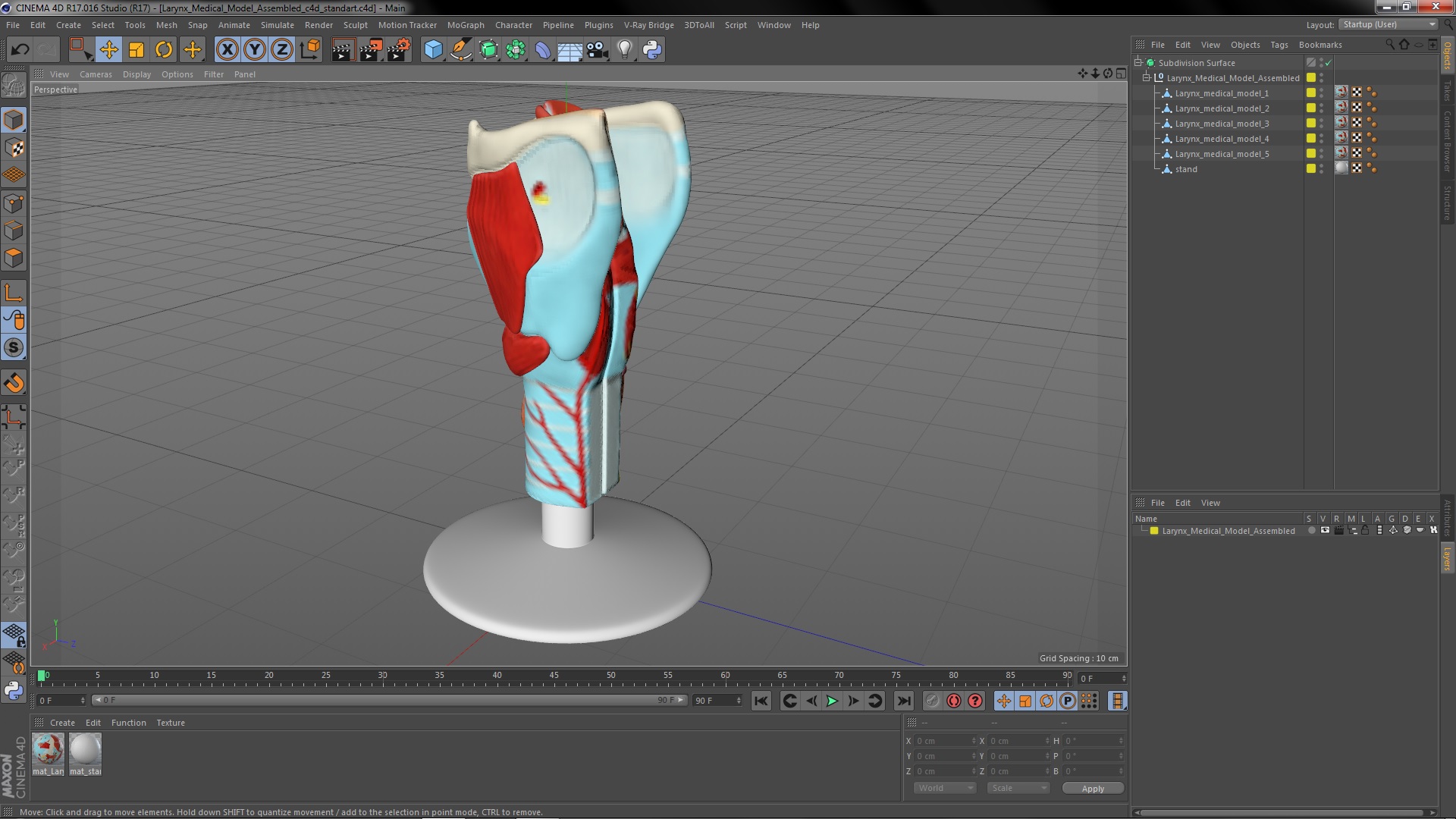 3D model Larynx Medical Model Assembled