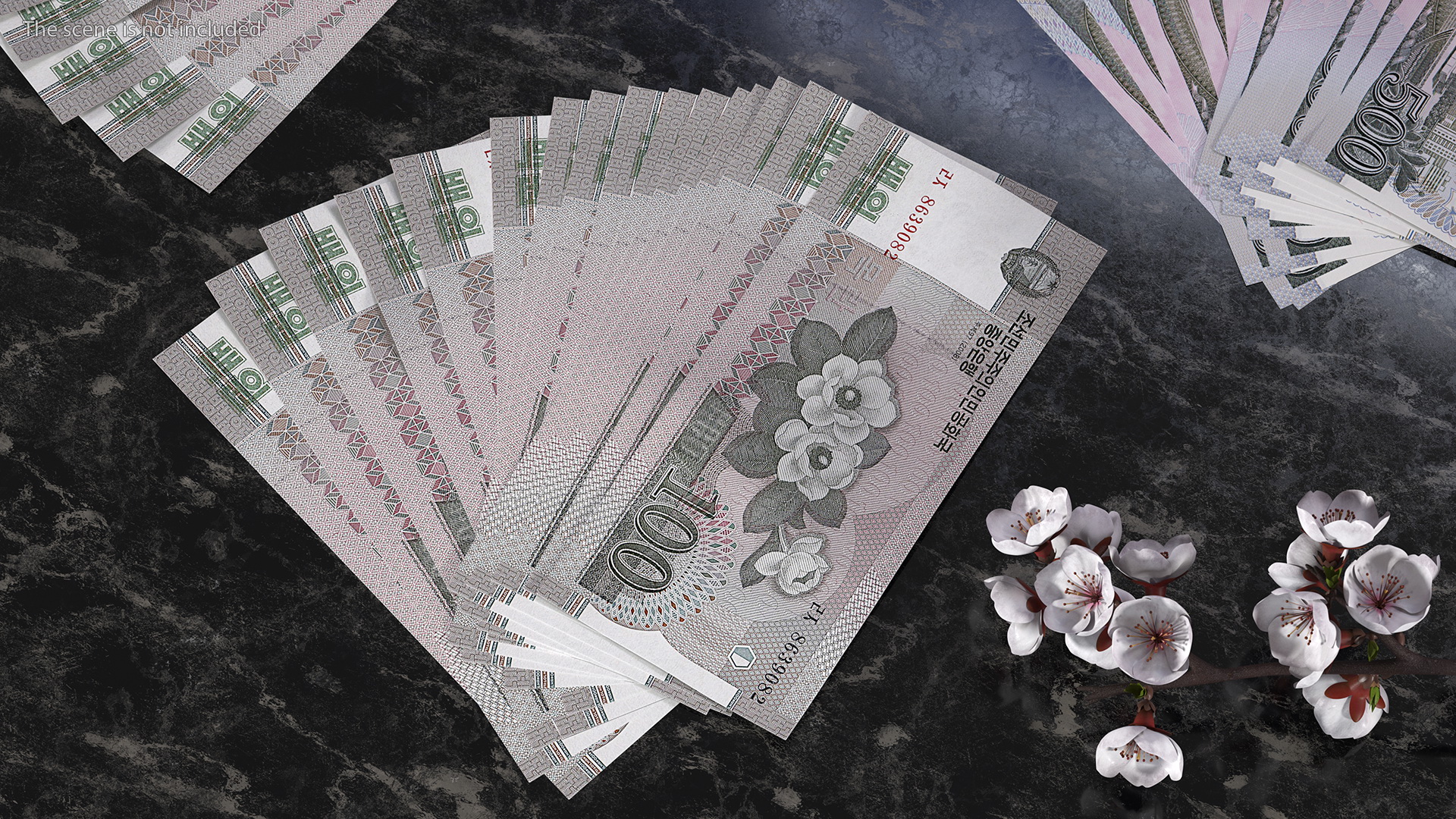 3D Fan of North Korea 100 Won Banknotes