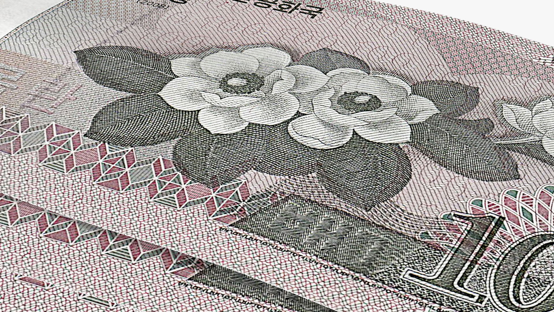 3D Fan of North Korea 100 Won Banknotes