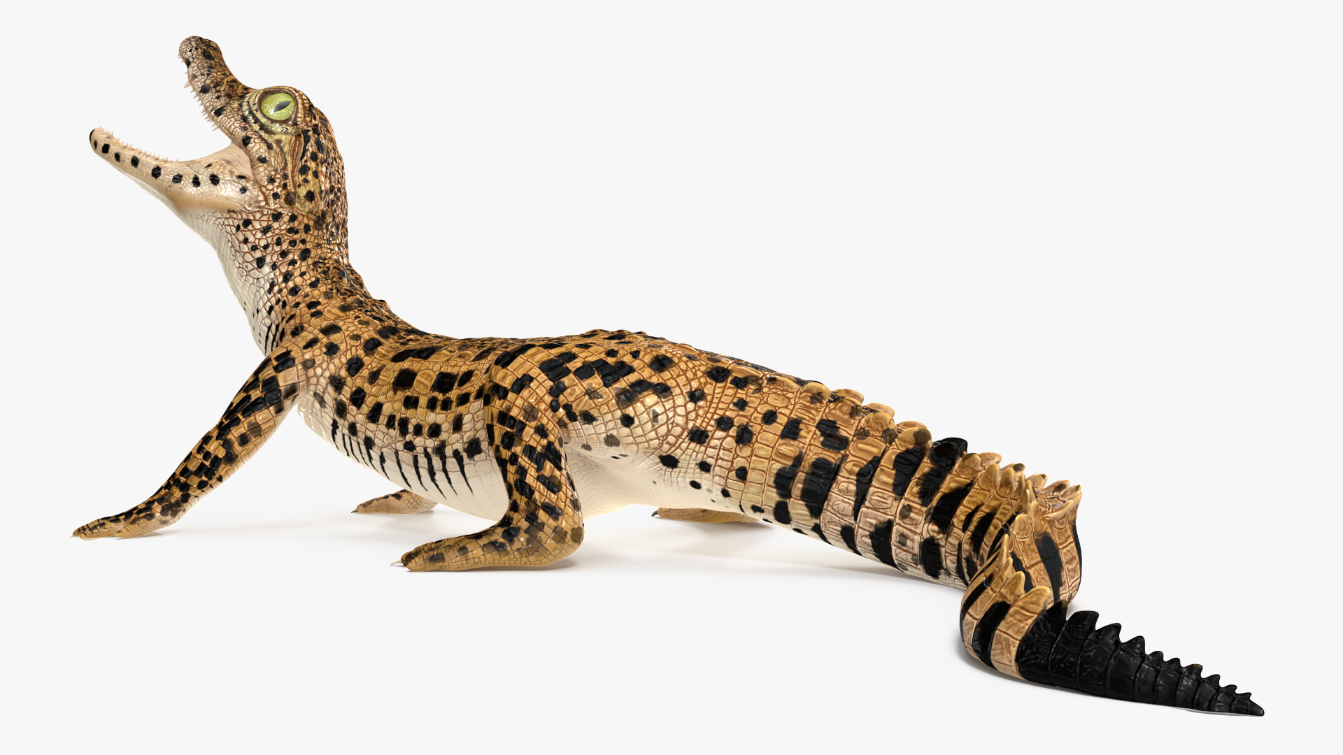 Baby Crocodile Dark Color Rigged 3D