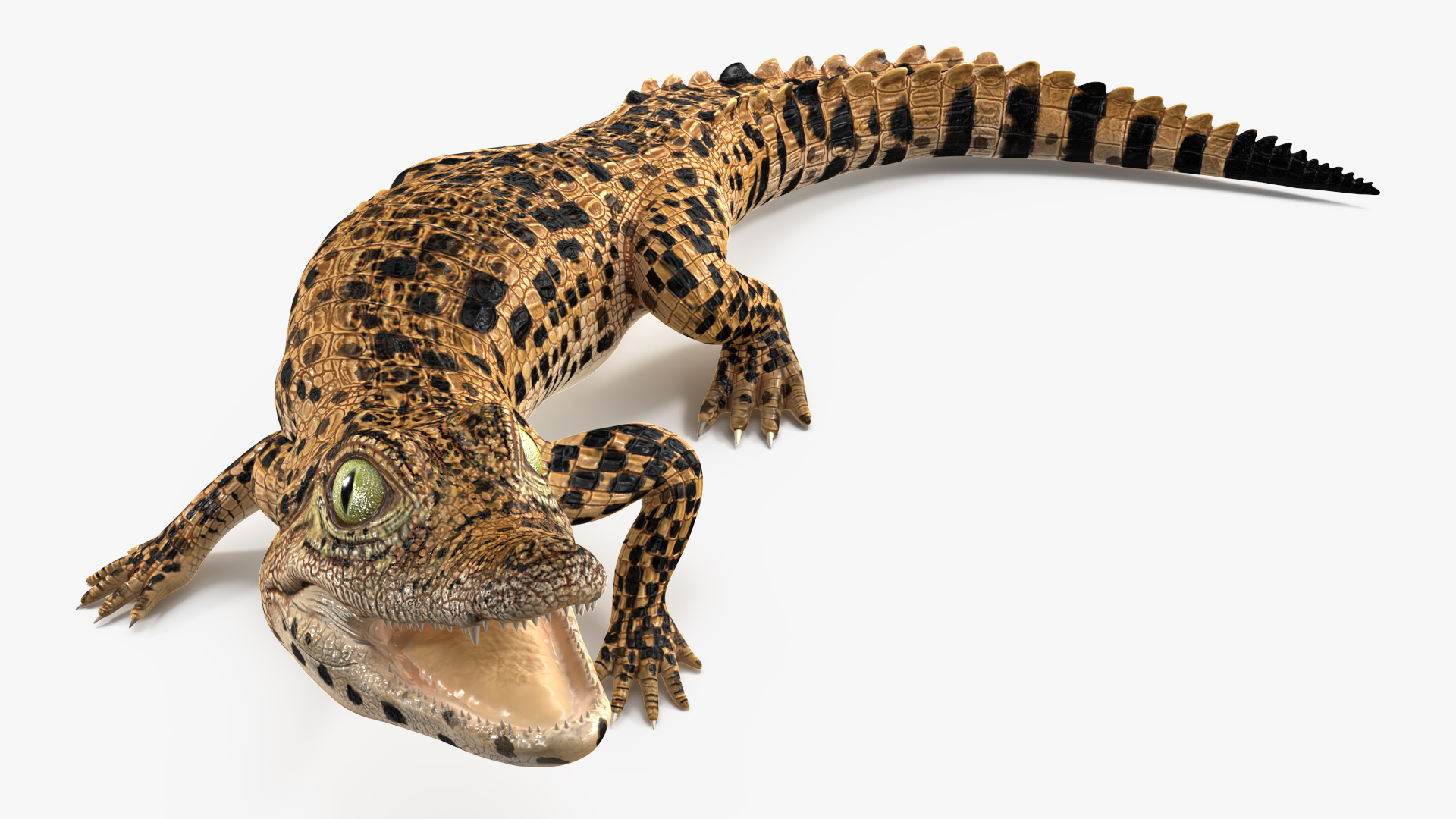 Baby Crocodile Dark Color Rigged 3D