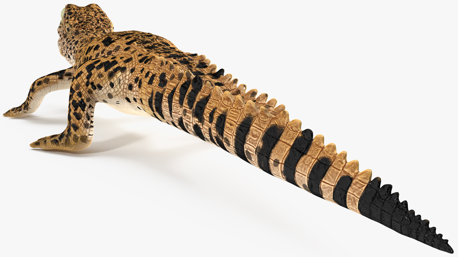 Baby Crocodile Dark Color Rigged 3D