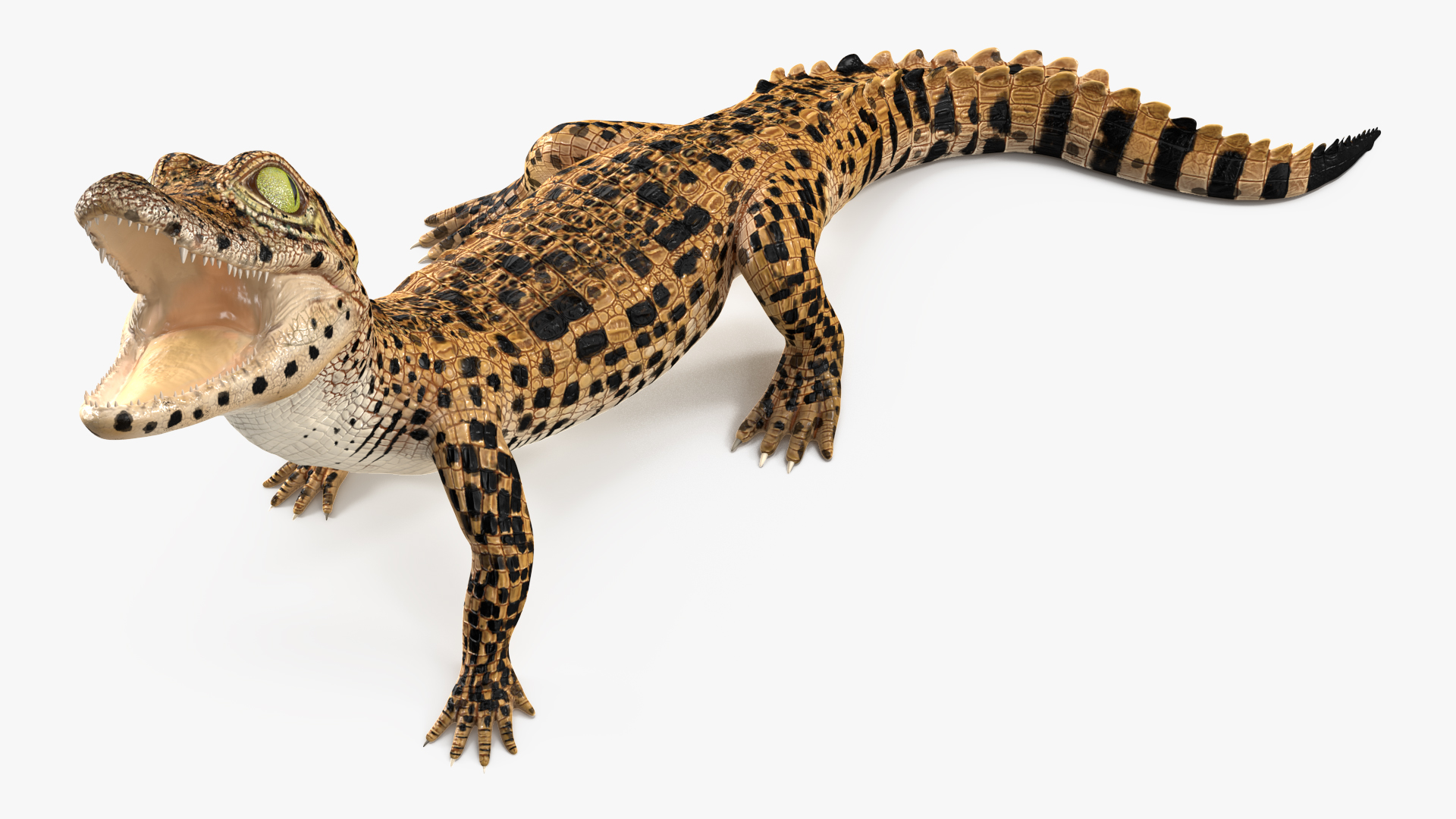 Baby Crocodile Dark Color Rigged 3D