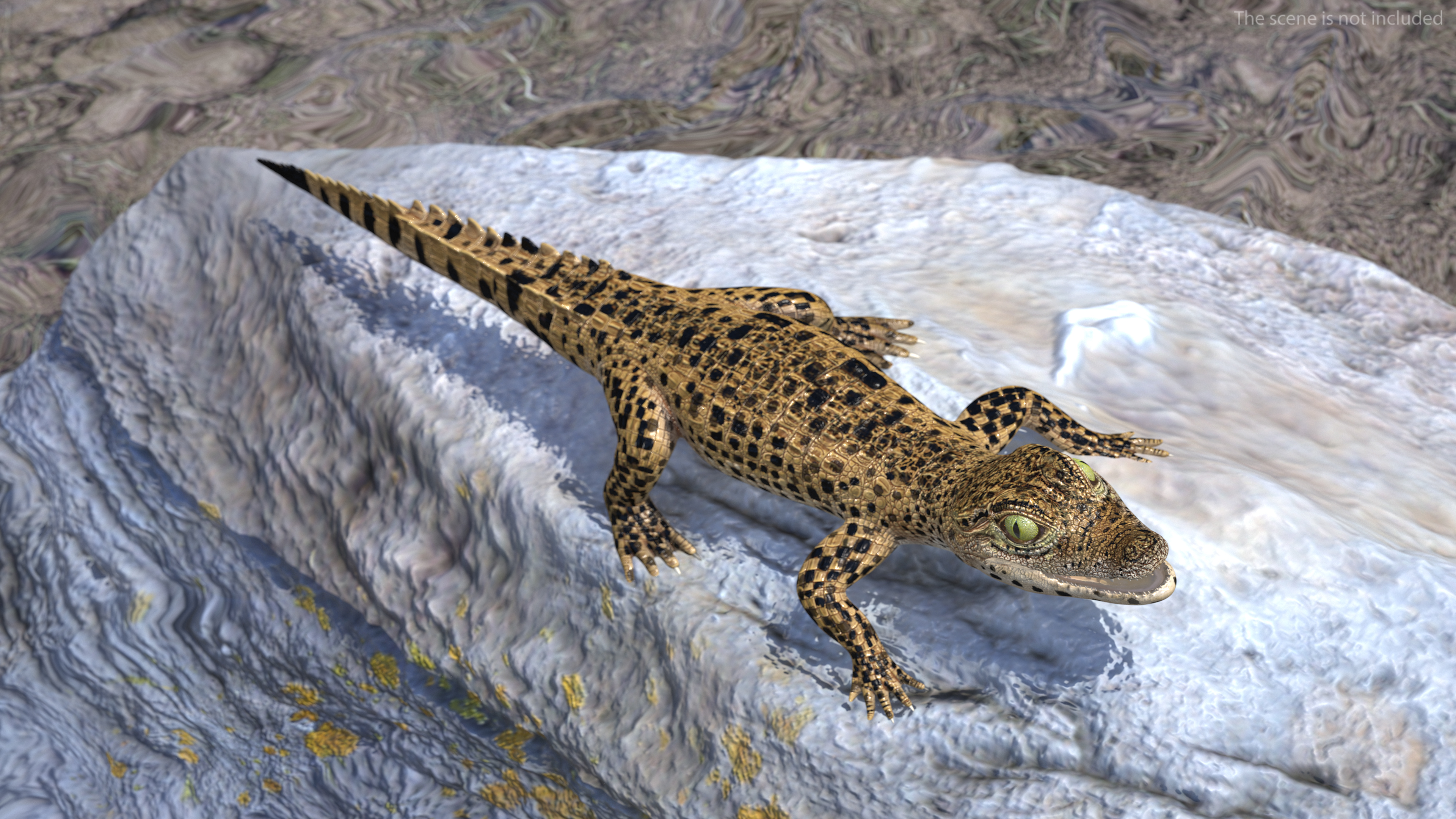 Baby Crocodile Dark Color Rigged 3D