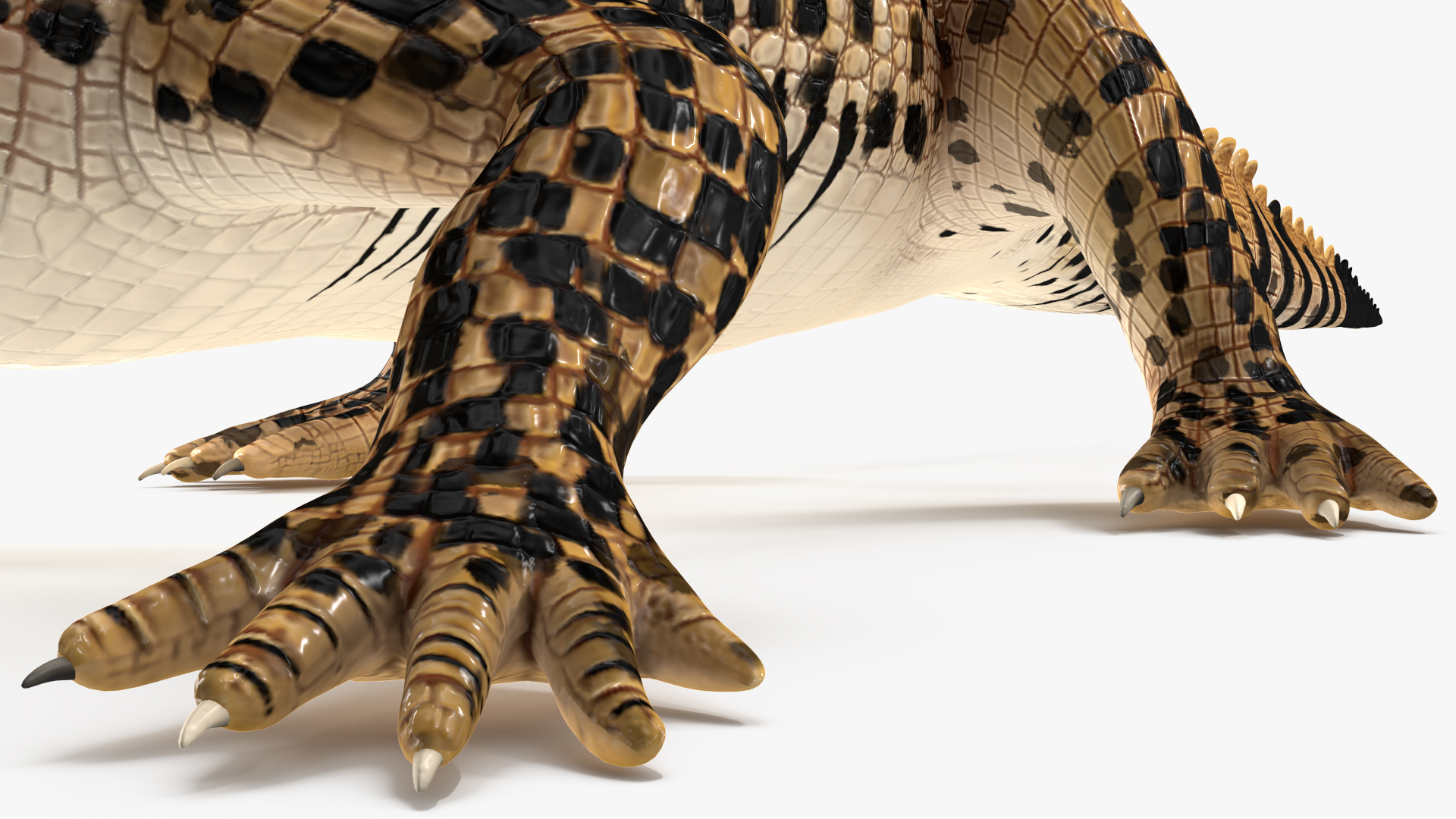 Baby Crocodile Dark Color Rigged 3D