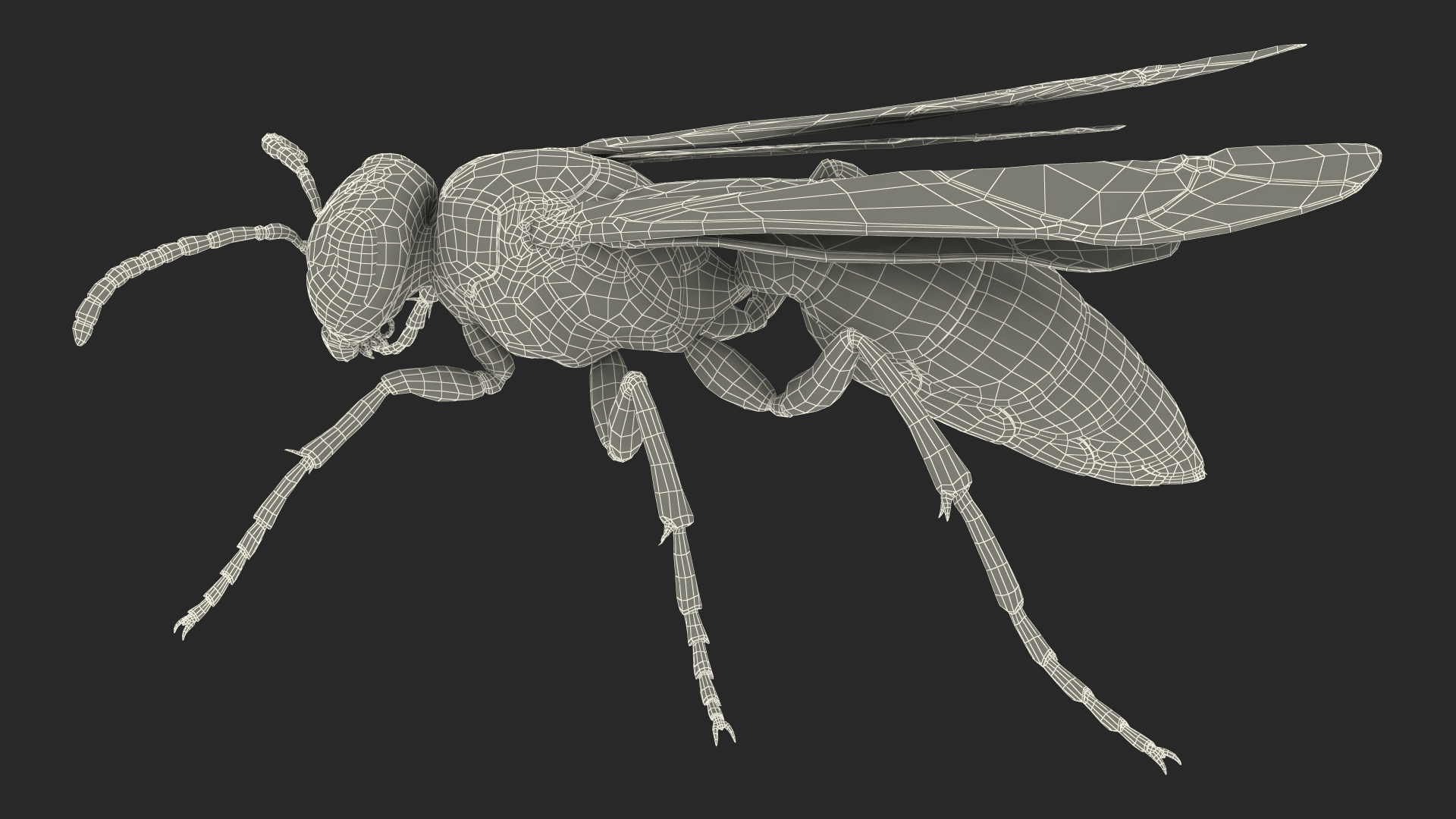 Wasp Standing Pose Fur 3D