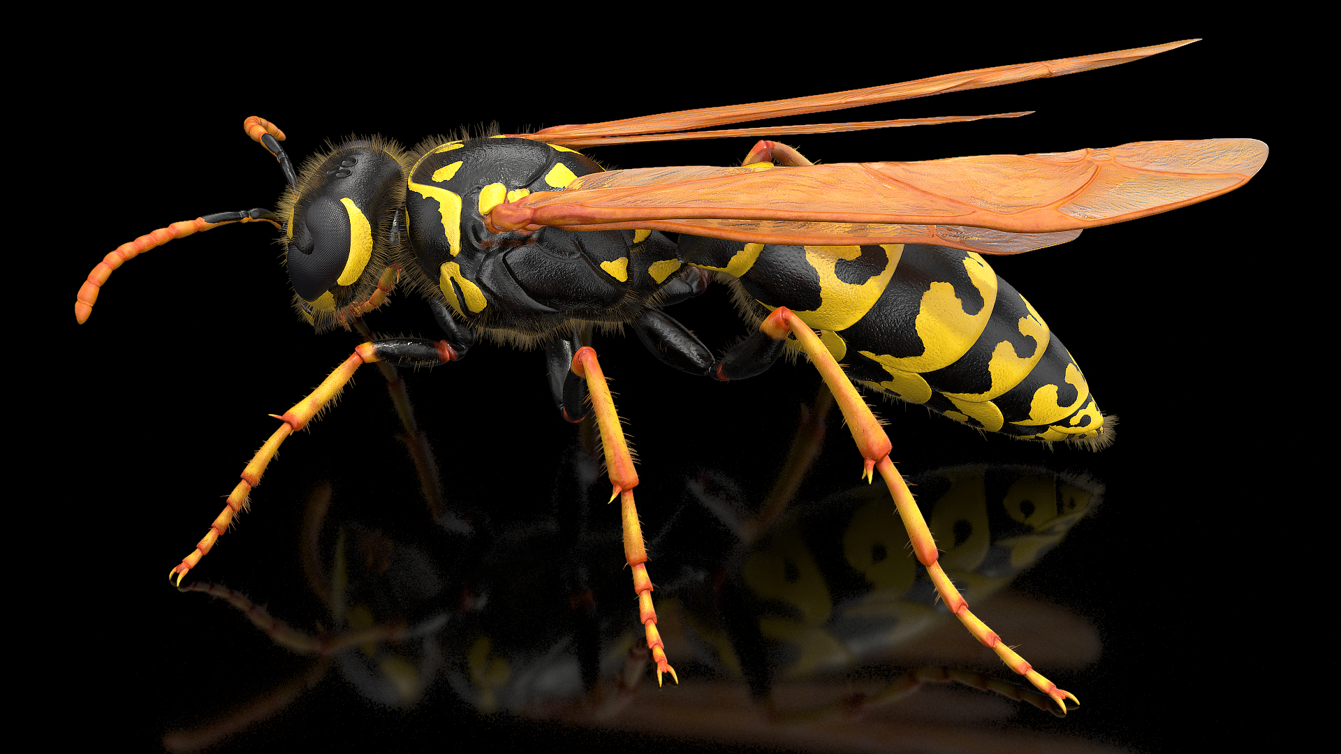 Wasp Standing Pose Fur 3D