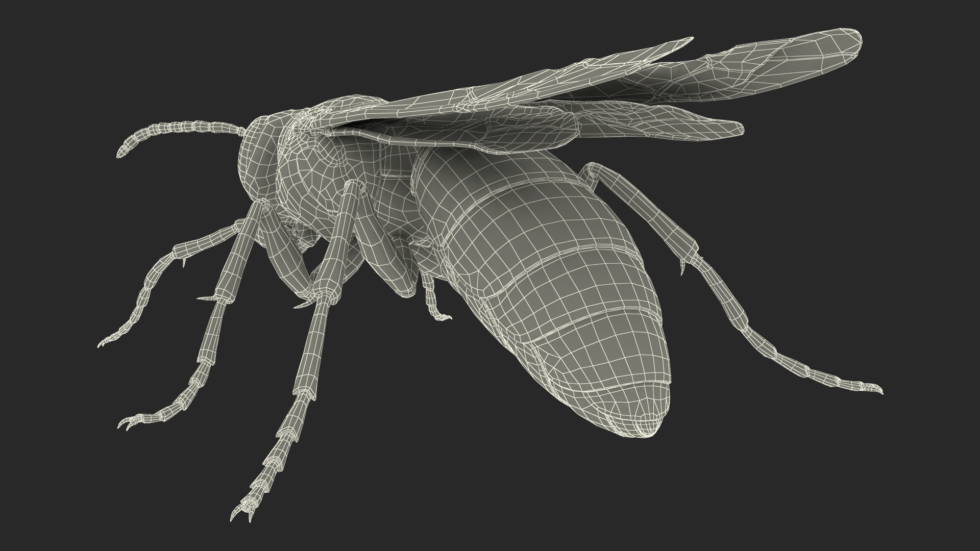 Wasp Standing Pose Fur 3D