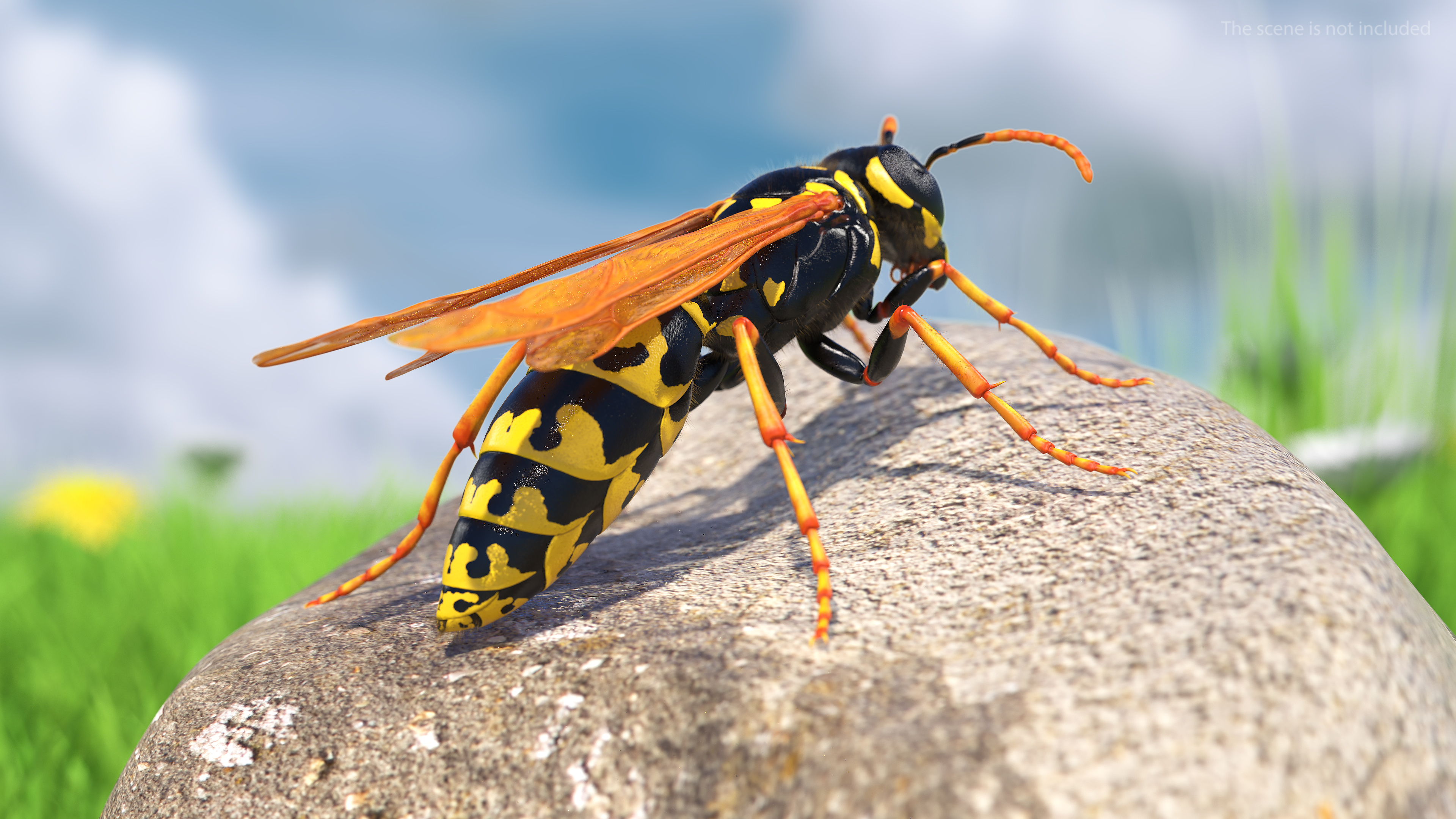 Wasp Standing Pose Fur 3D