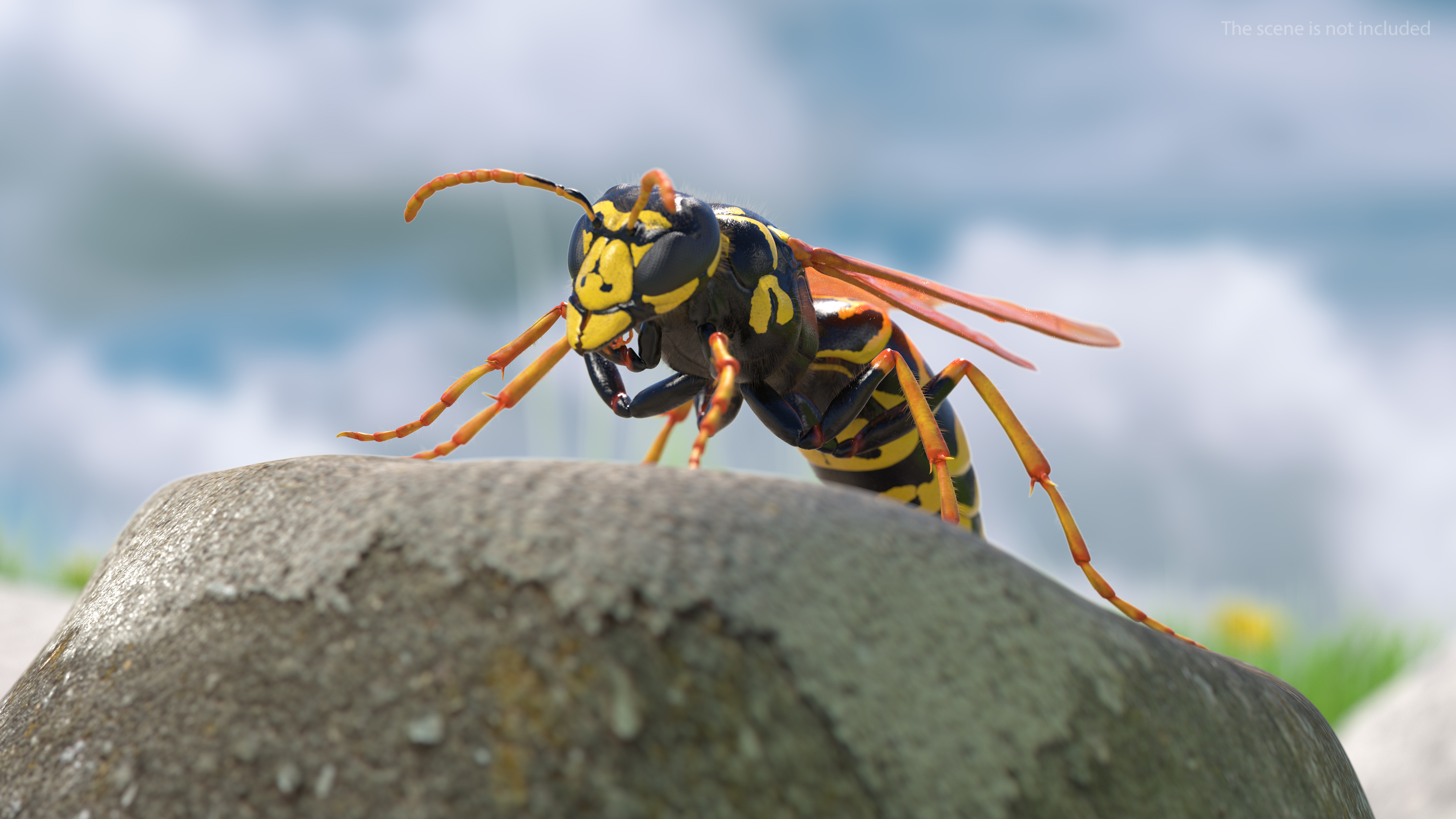 Wasp Standing Pose Fur 3D