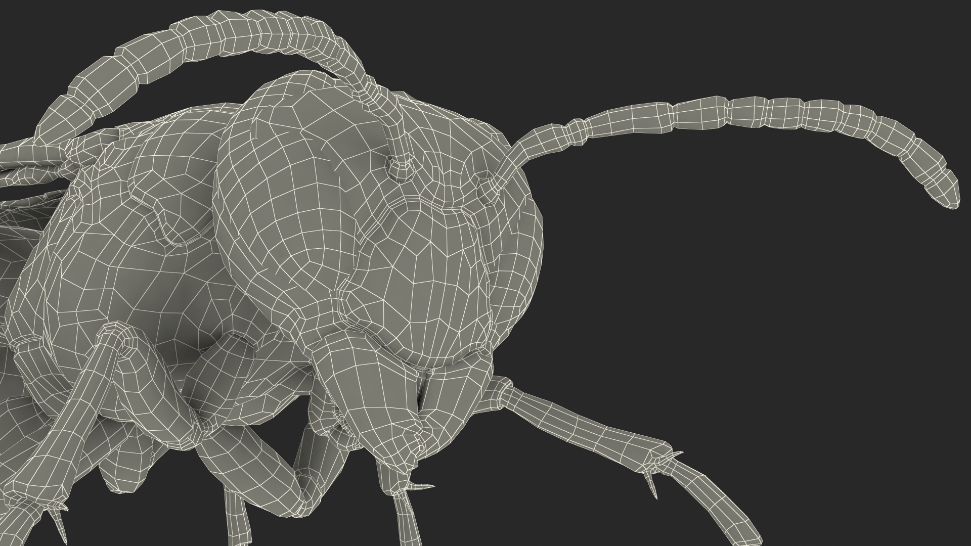 Wasp Standing Pose Fur 3D