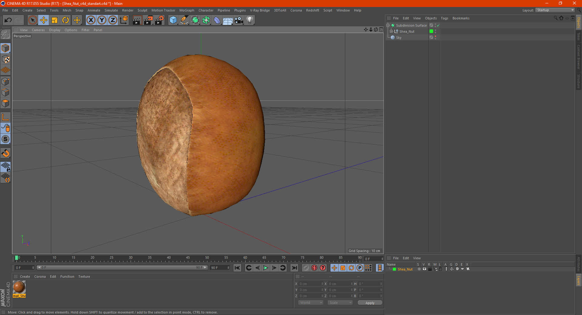 3D model Shea Nut