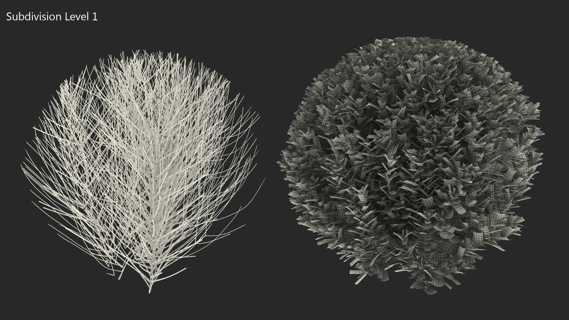 Green Boxwood Shrub 3D model