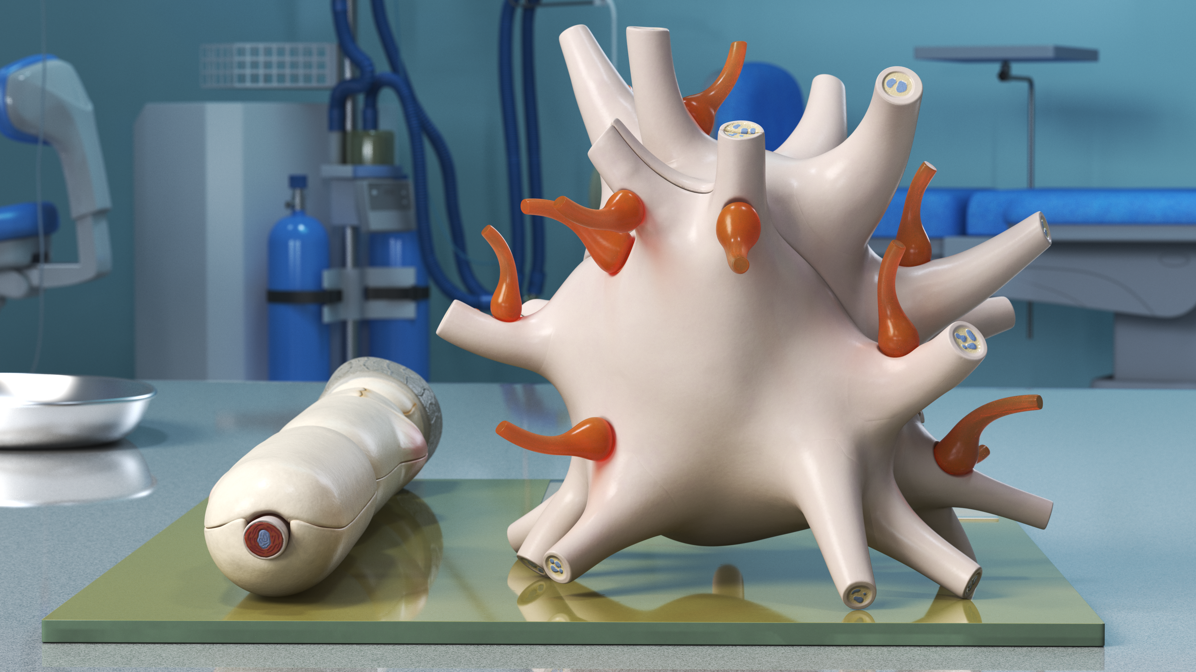 Human Neuron Model on Stand, view 5