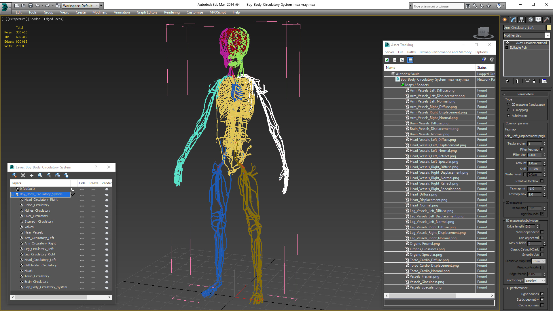 Boy Body Circulatory System 3D