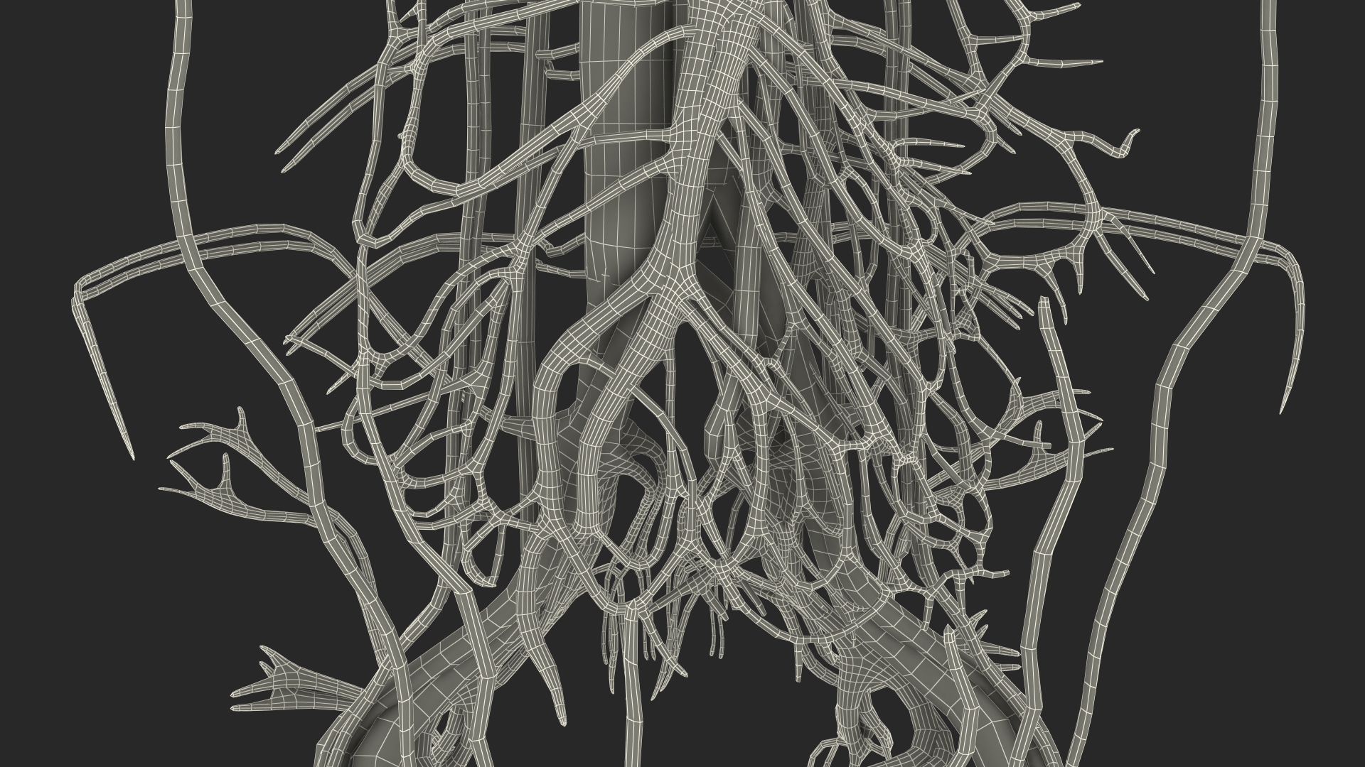 Boy Body Circulatory System 3D