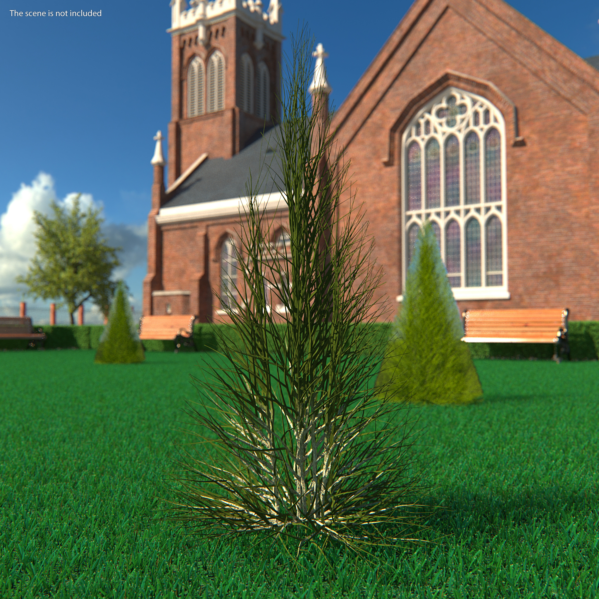 3D Bare Branches model