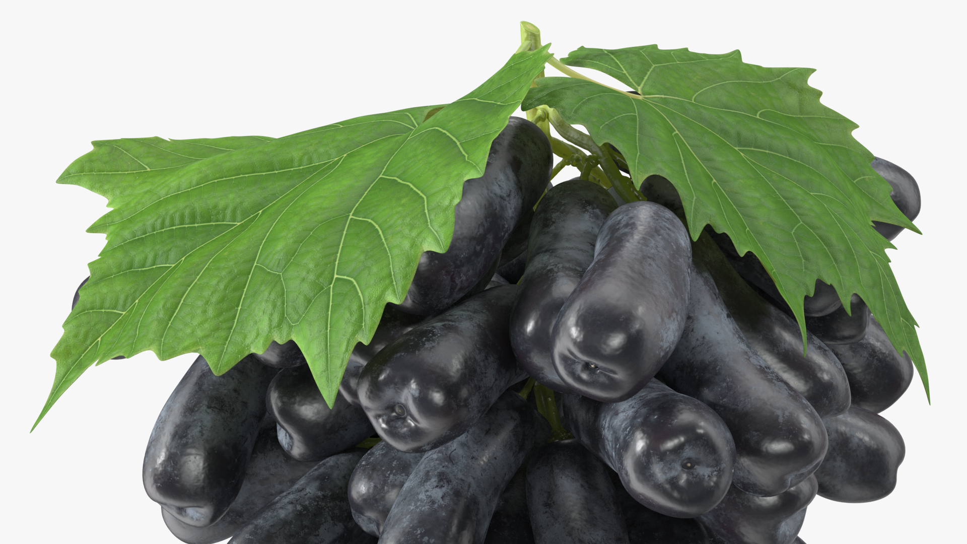 3D Grapes Sweet Sapphire with Leaf