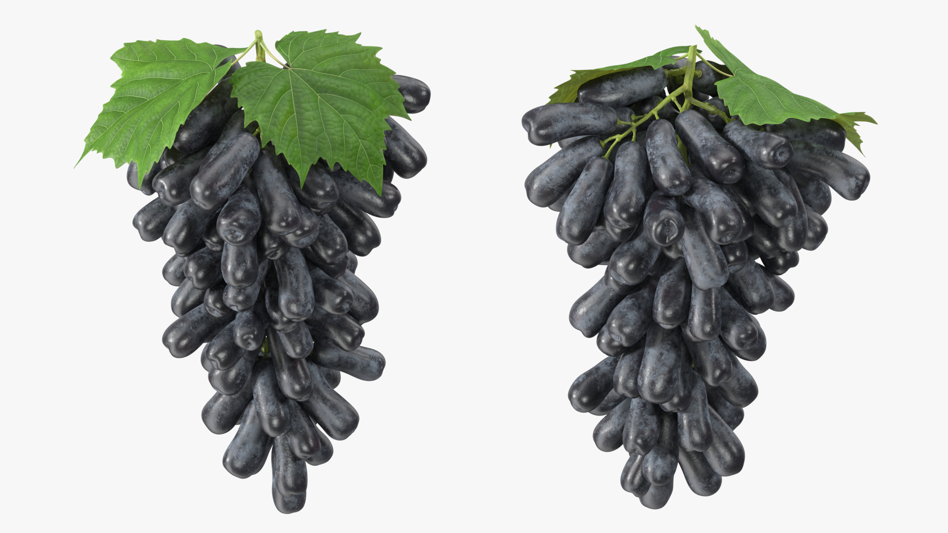 3D Grapes Sweet Sapphire with Leaf