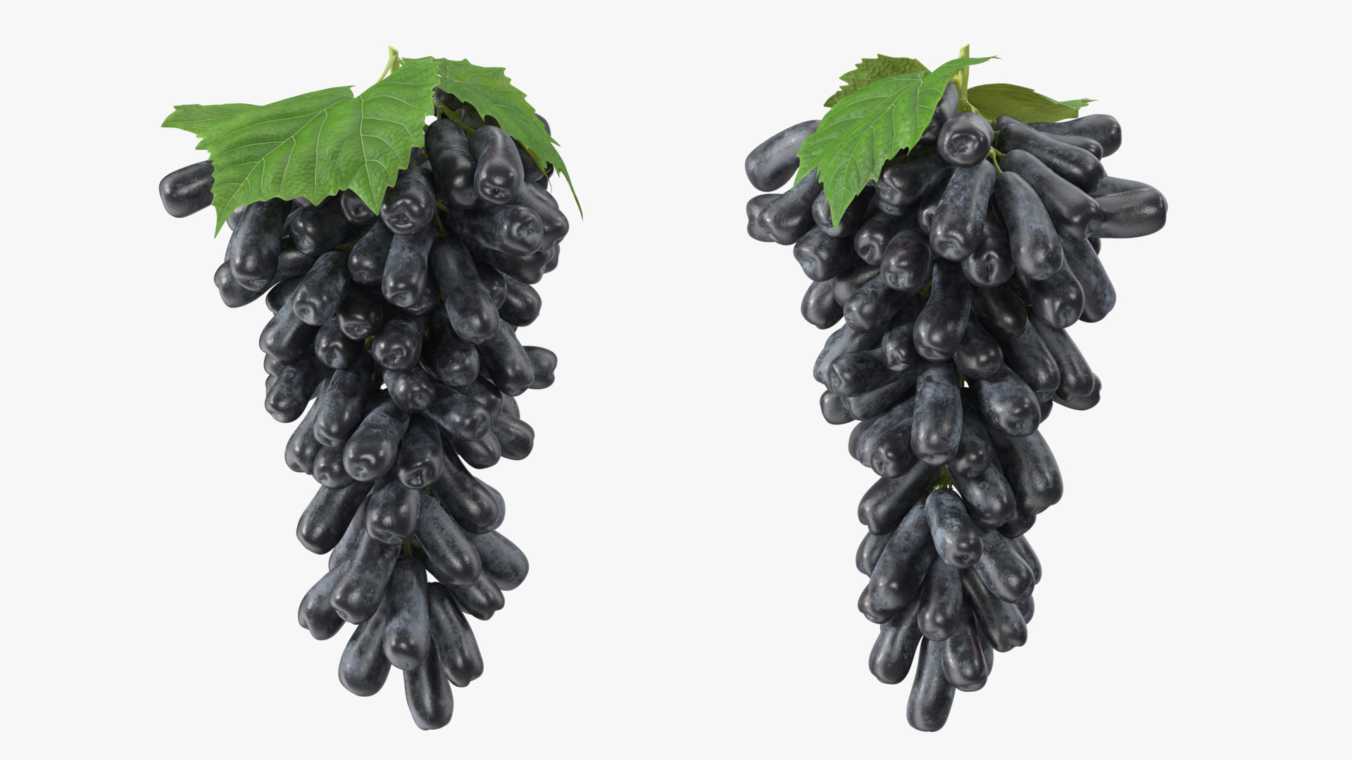 3D Grapes Sweet Sapphire with Leaf