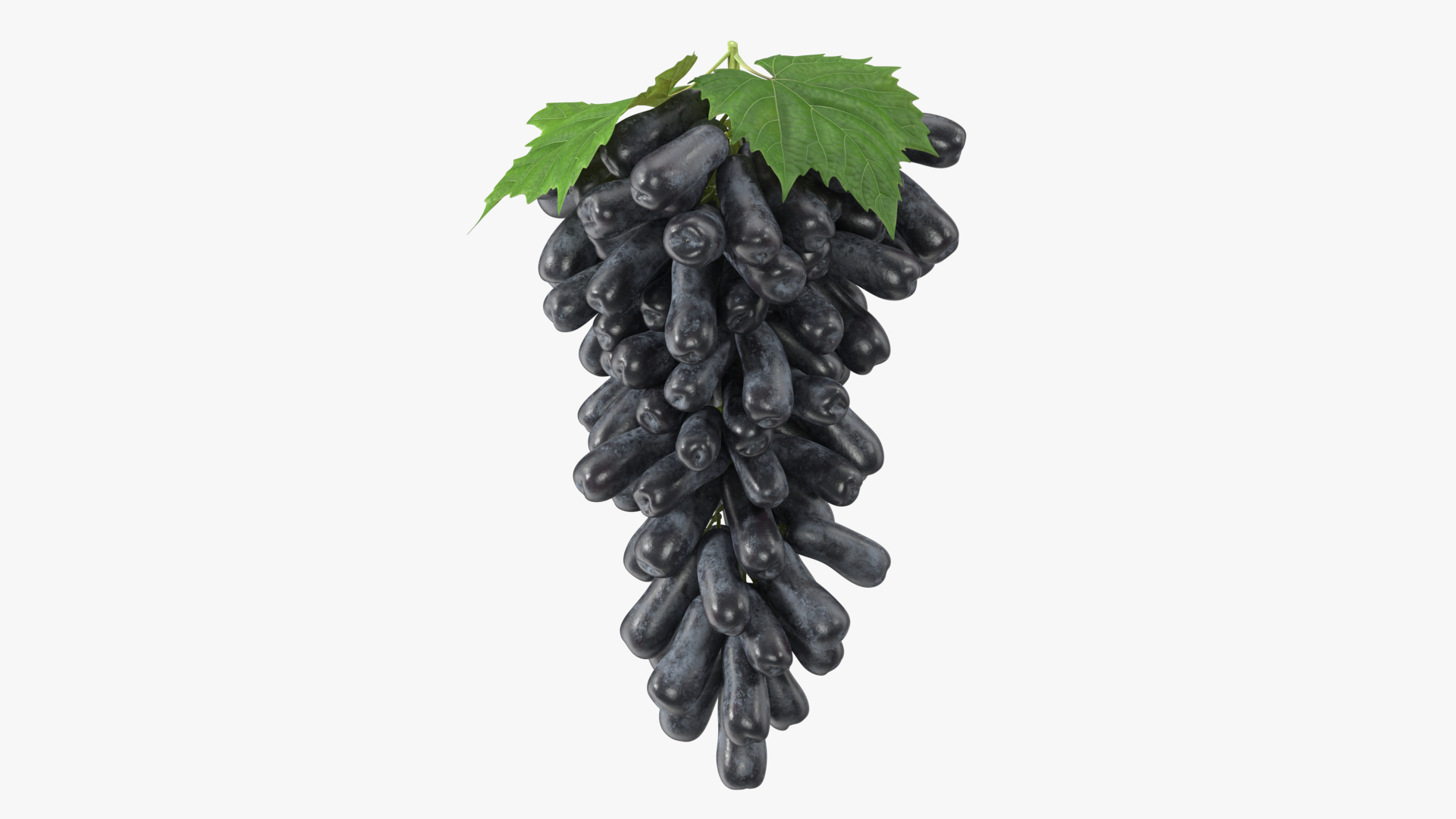 3D Grapes Sweet Sapphire with Leaf