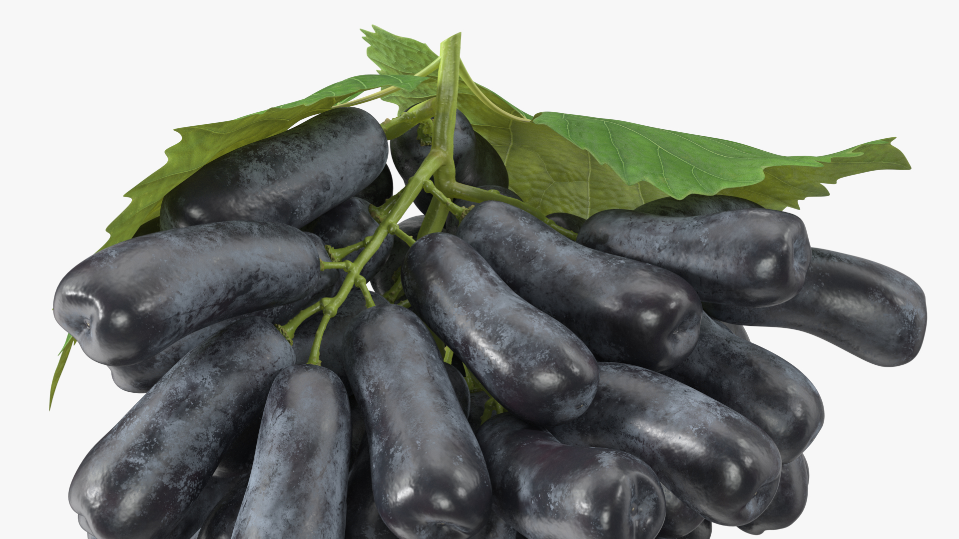 3D Grapes Sweet Sapphire with Leaf