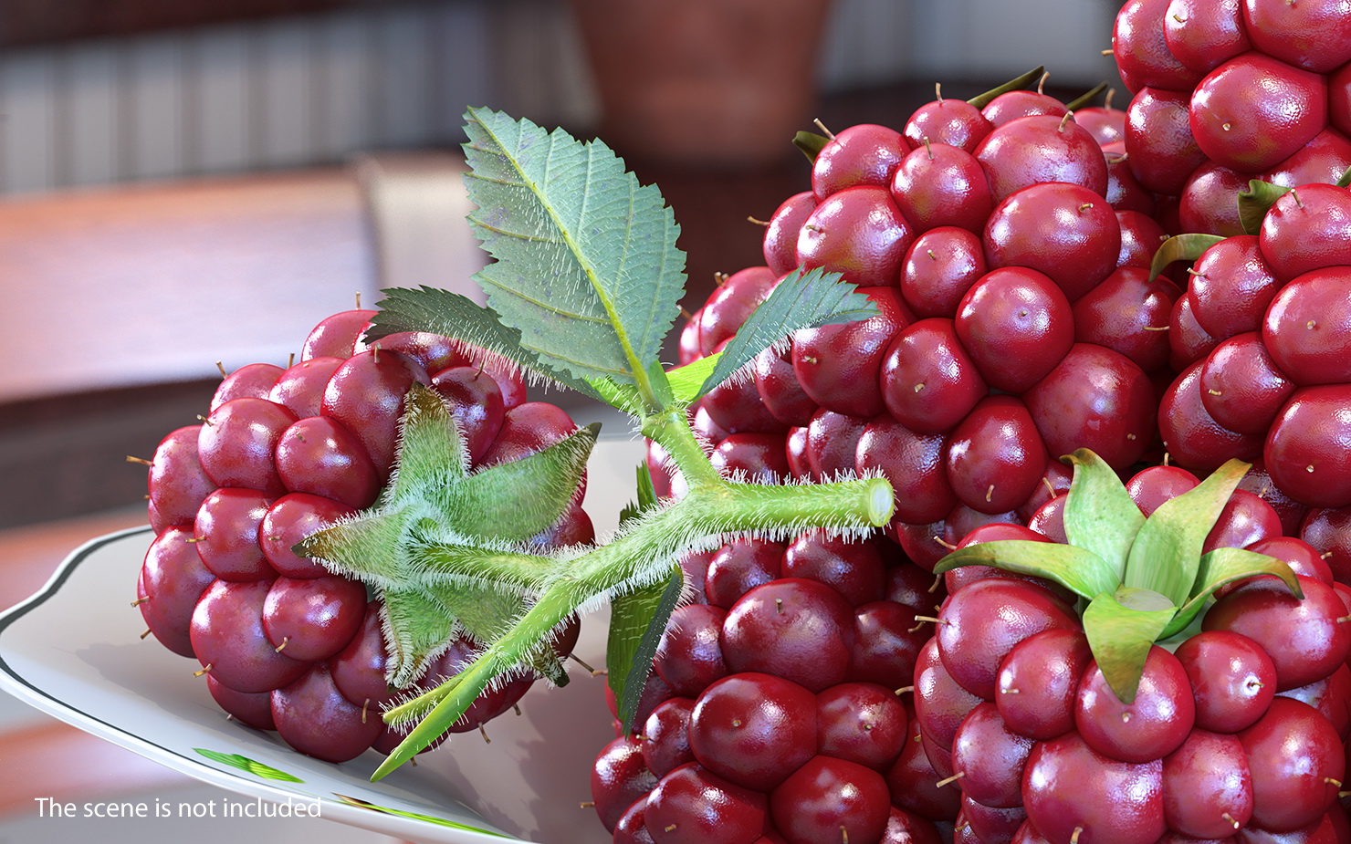3D Not Ripe Berry Blackberry with Leaves Fur