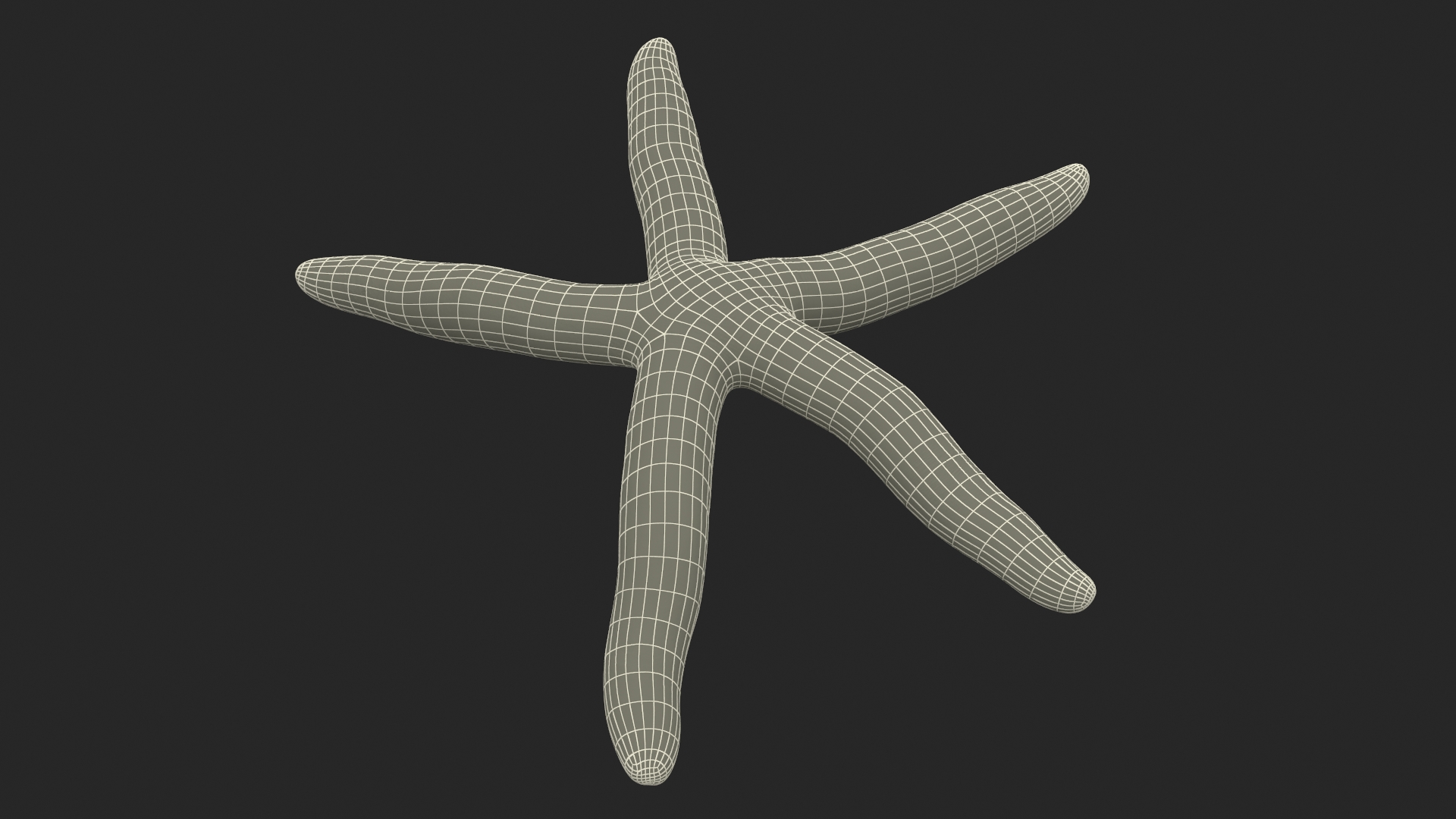 3D Blue Starfish model