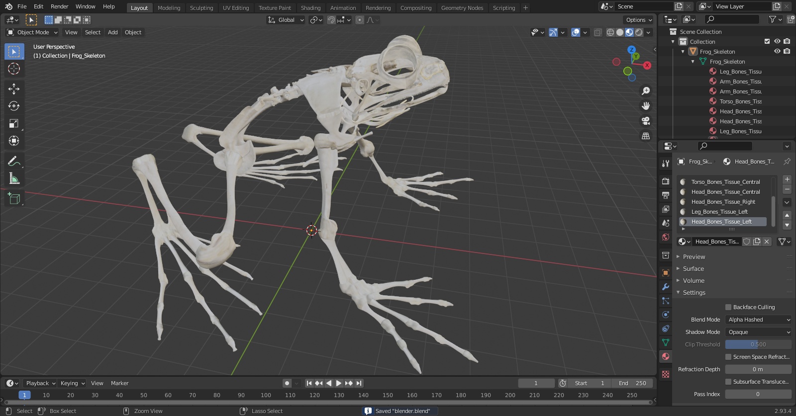 3D Frog Skeleton model