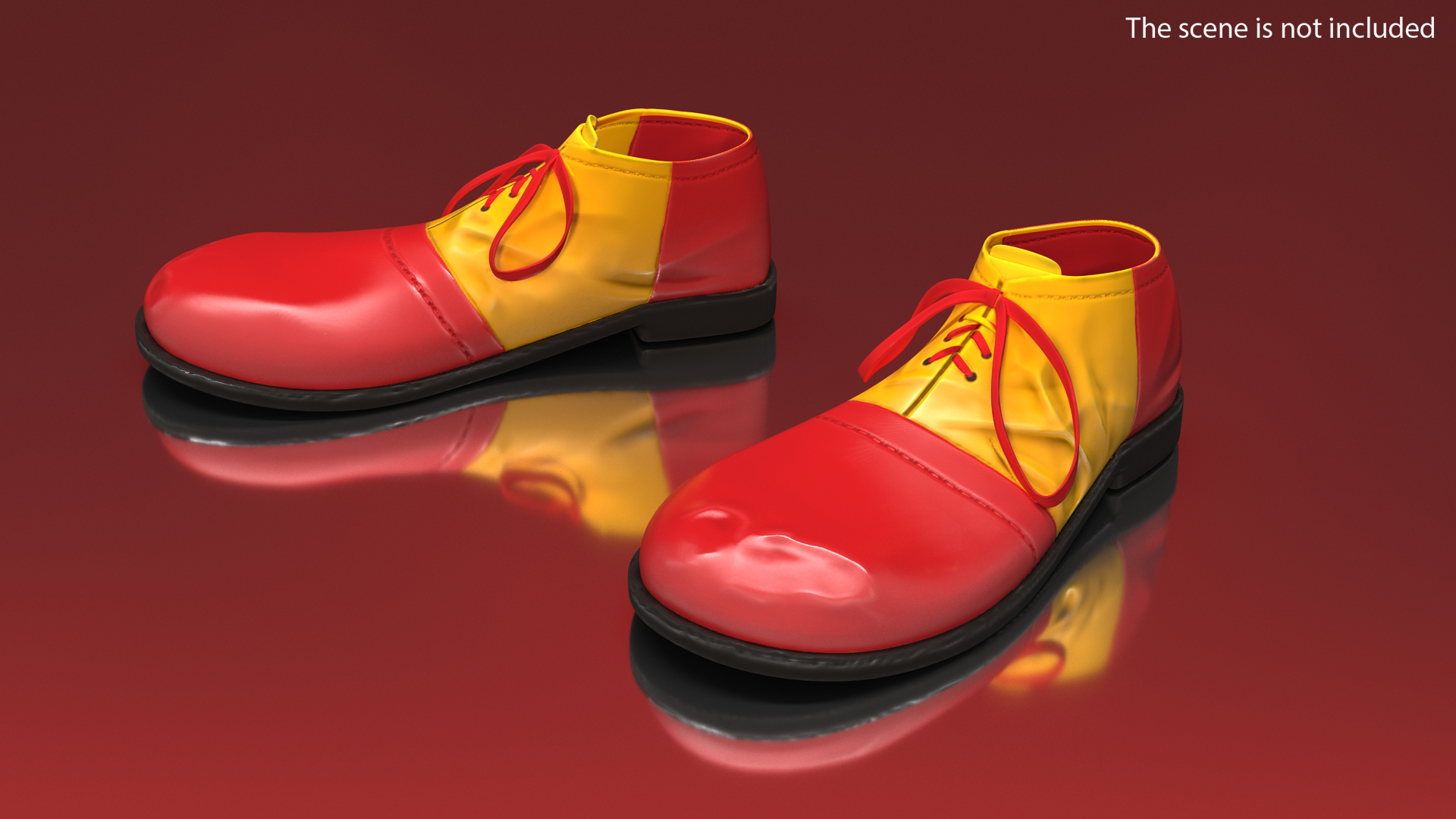3D Clown Shoes