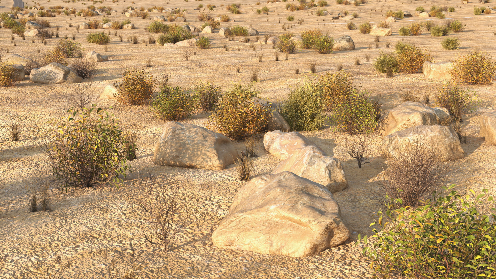 Desert Road, view 8