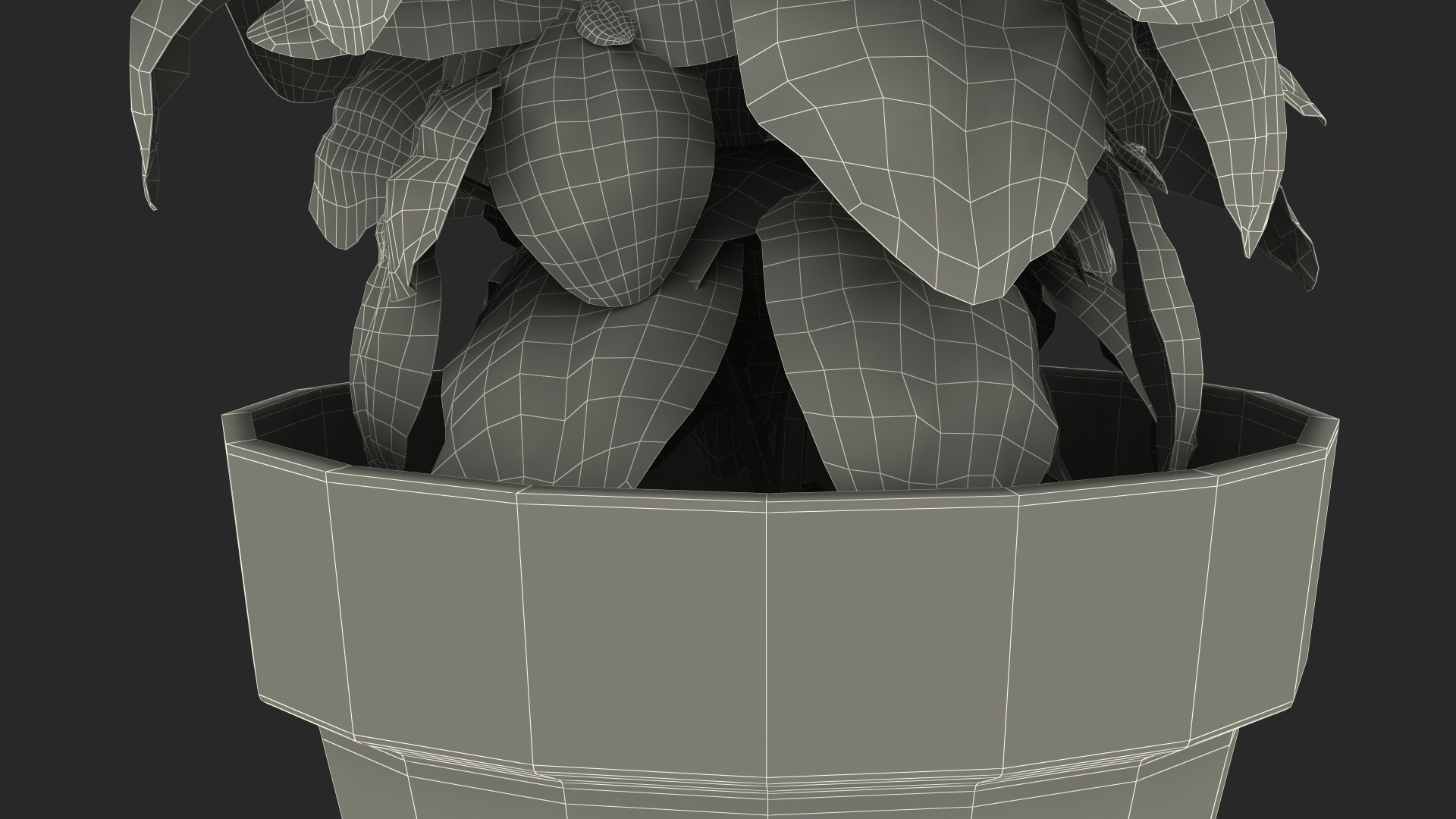 3D model Fresh Basil Herb in a Pot
