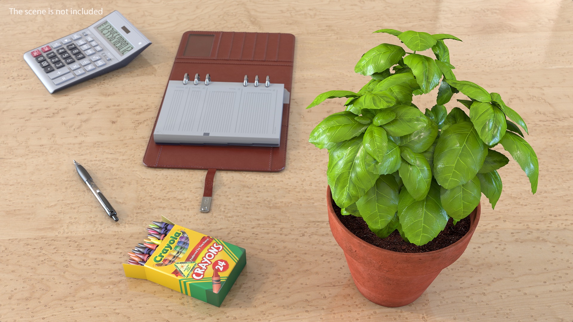 3D model Fresh Basil Herb in a Pot