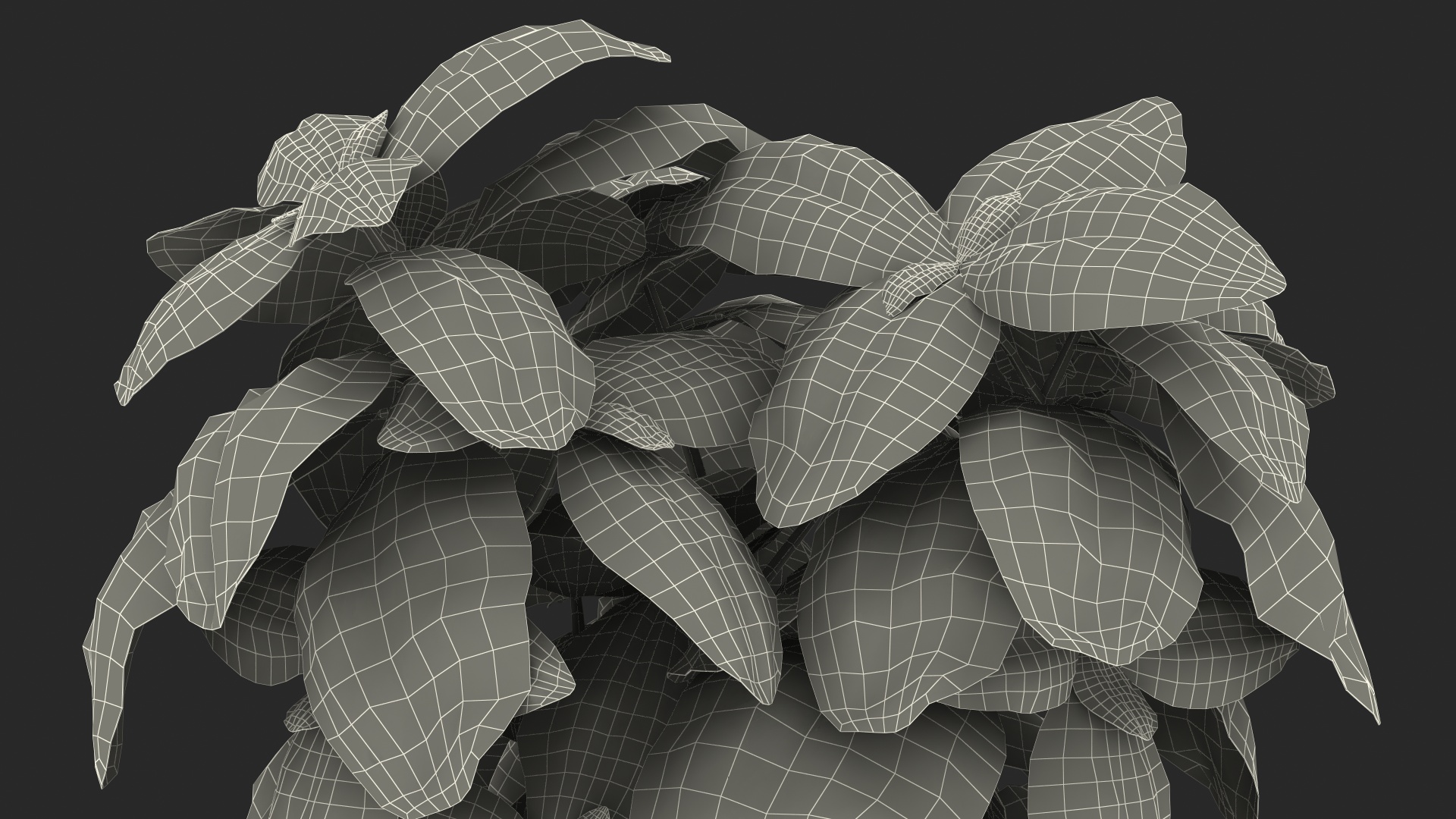 3D model Fresh Basil Herb in a Pot