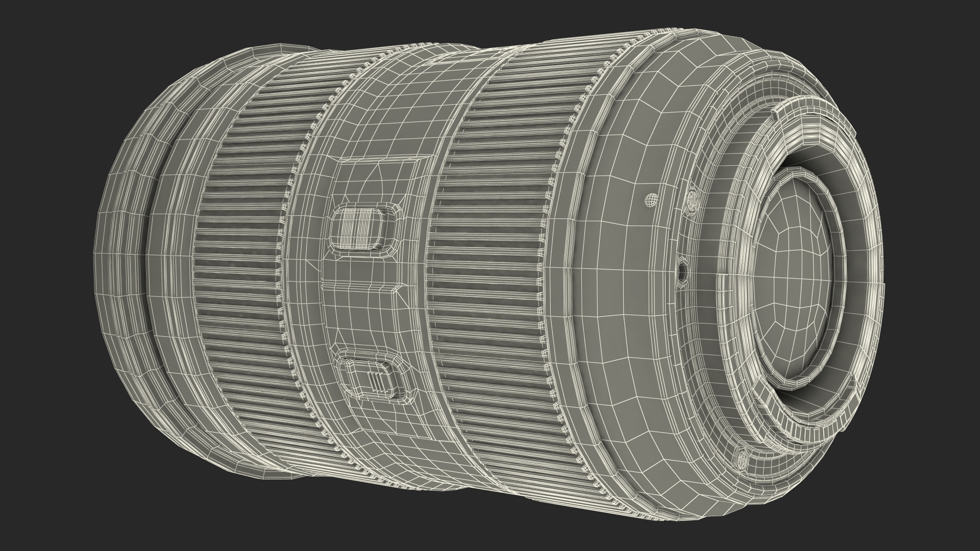 3D model Canon 1DX with Zoom Lens 24 70