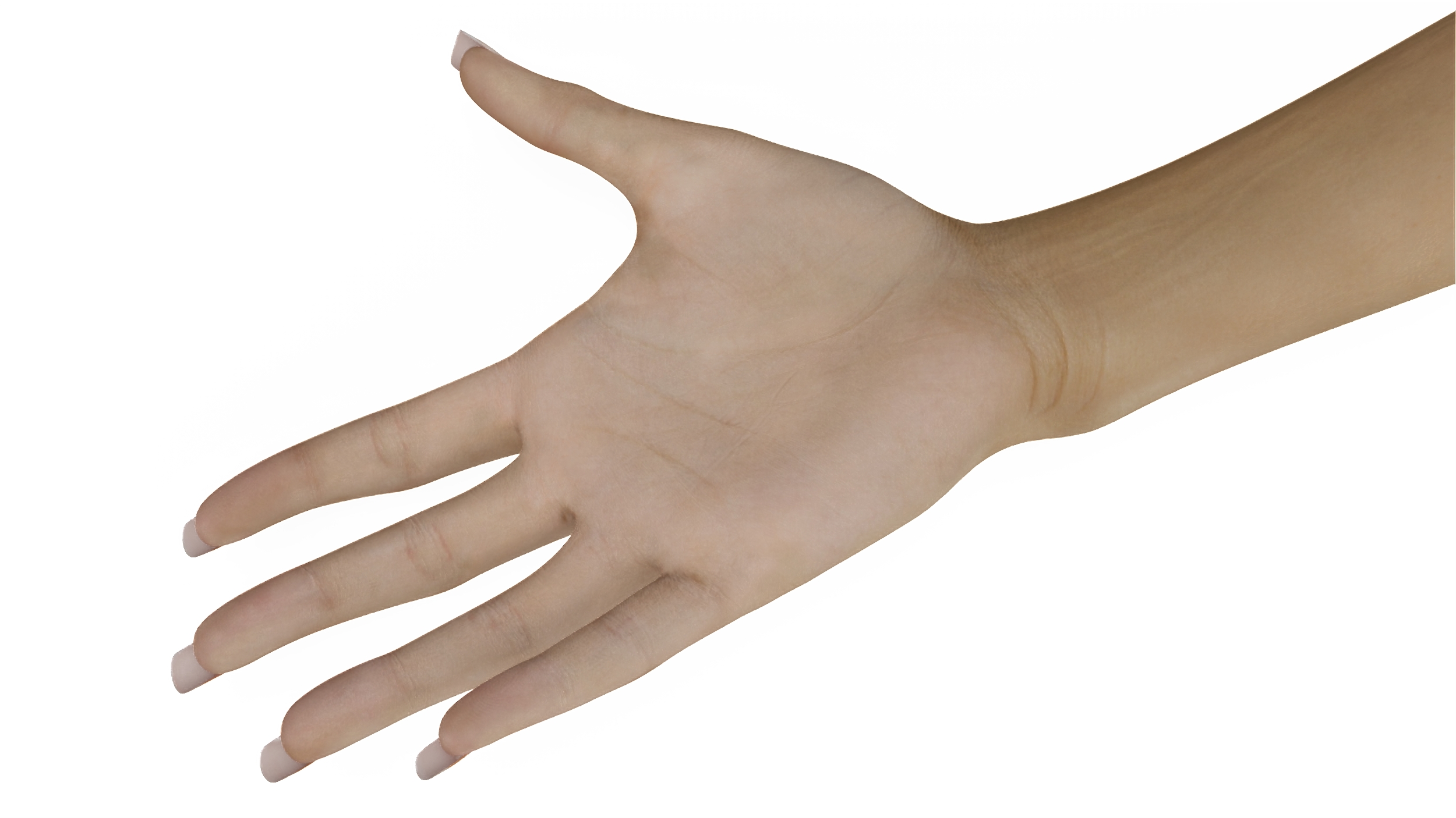 3D Caucasian Female Hand Base Pose