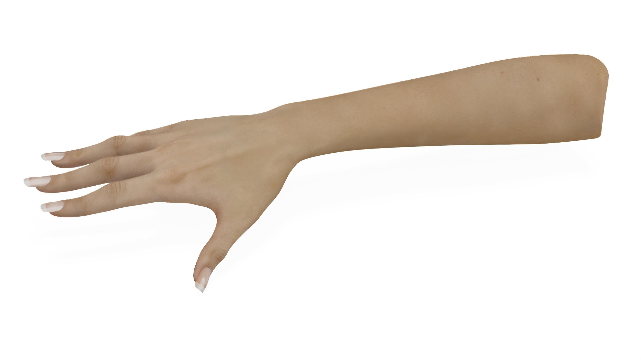 3D Caucasian Female Hand Base Pose