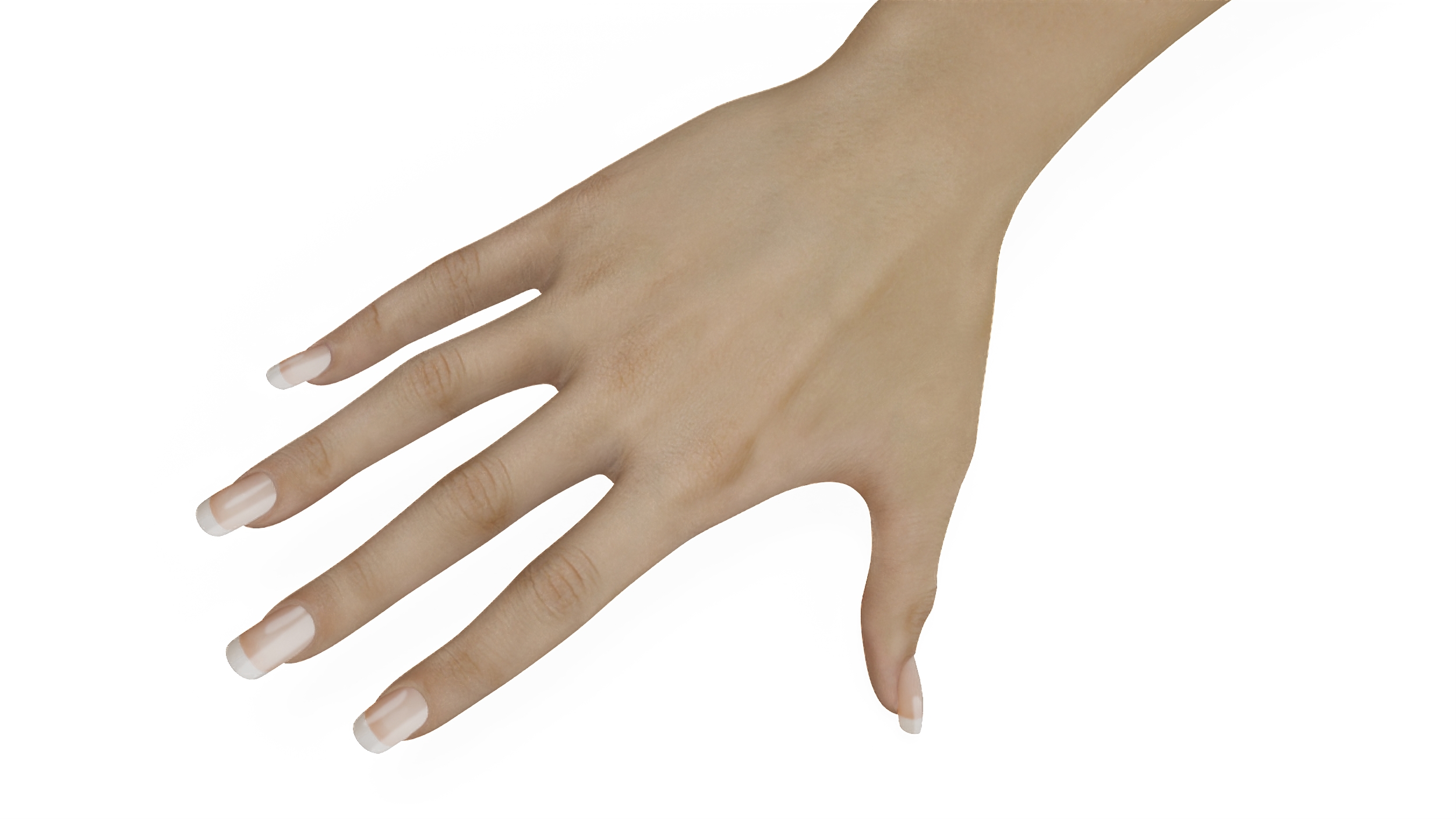 3D Caucasian Female Hand Base Pose