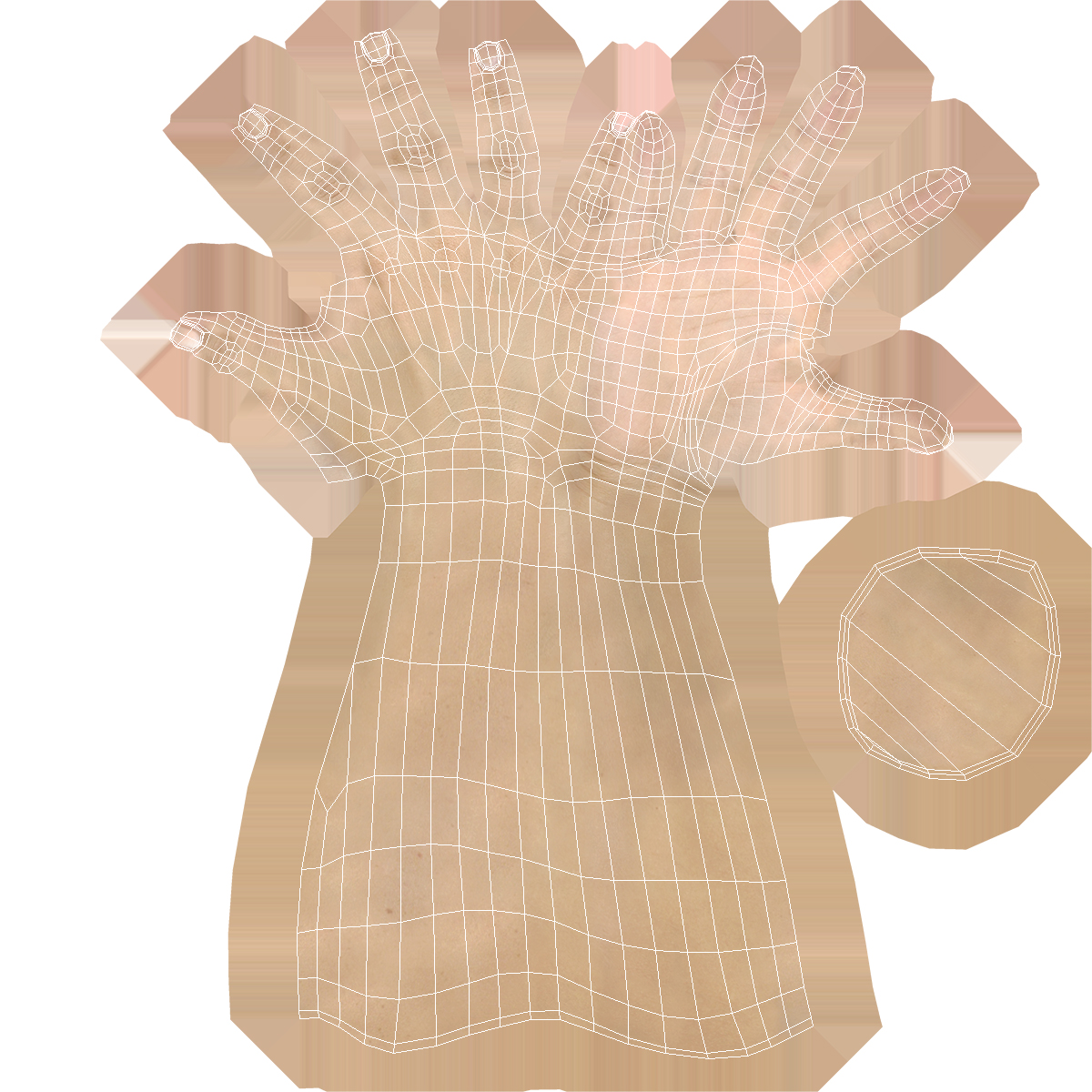 3D Caucasian Female Hand Base Pose