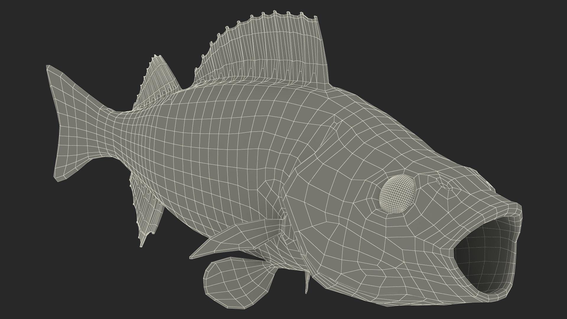 3D Perca Fluviatilis Rigged for Cinema 4D model