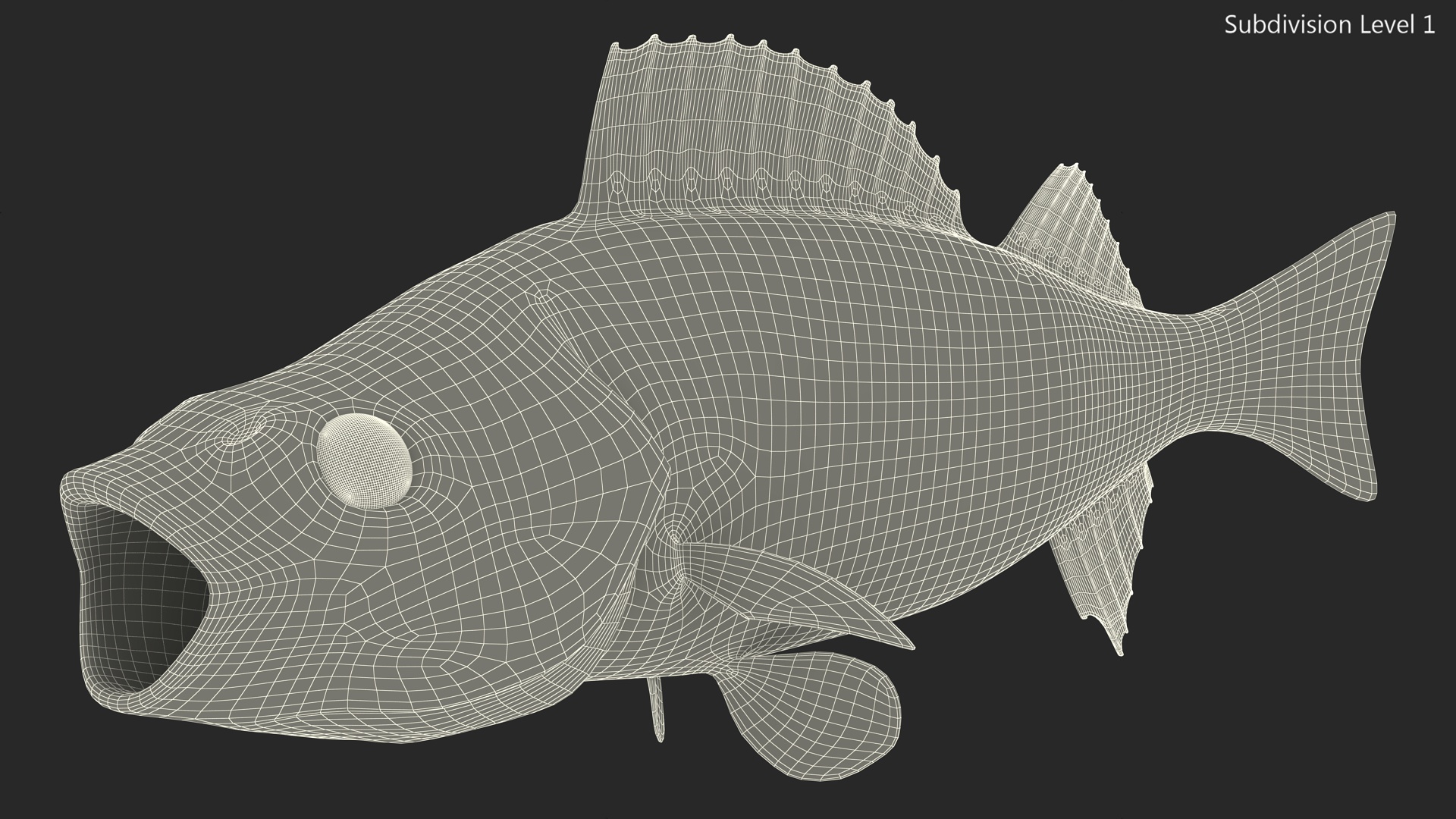 3D Perca Fluviatilis Rigged for Cinema 4D model