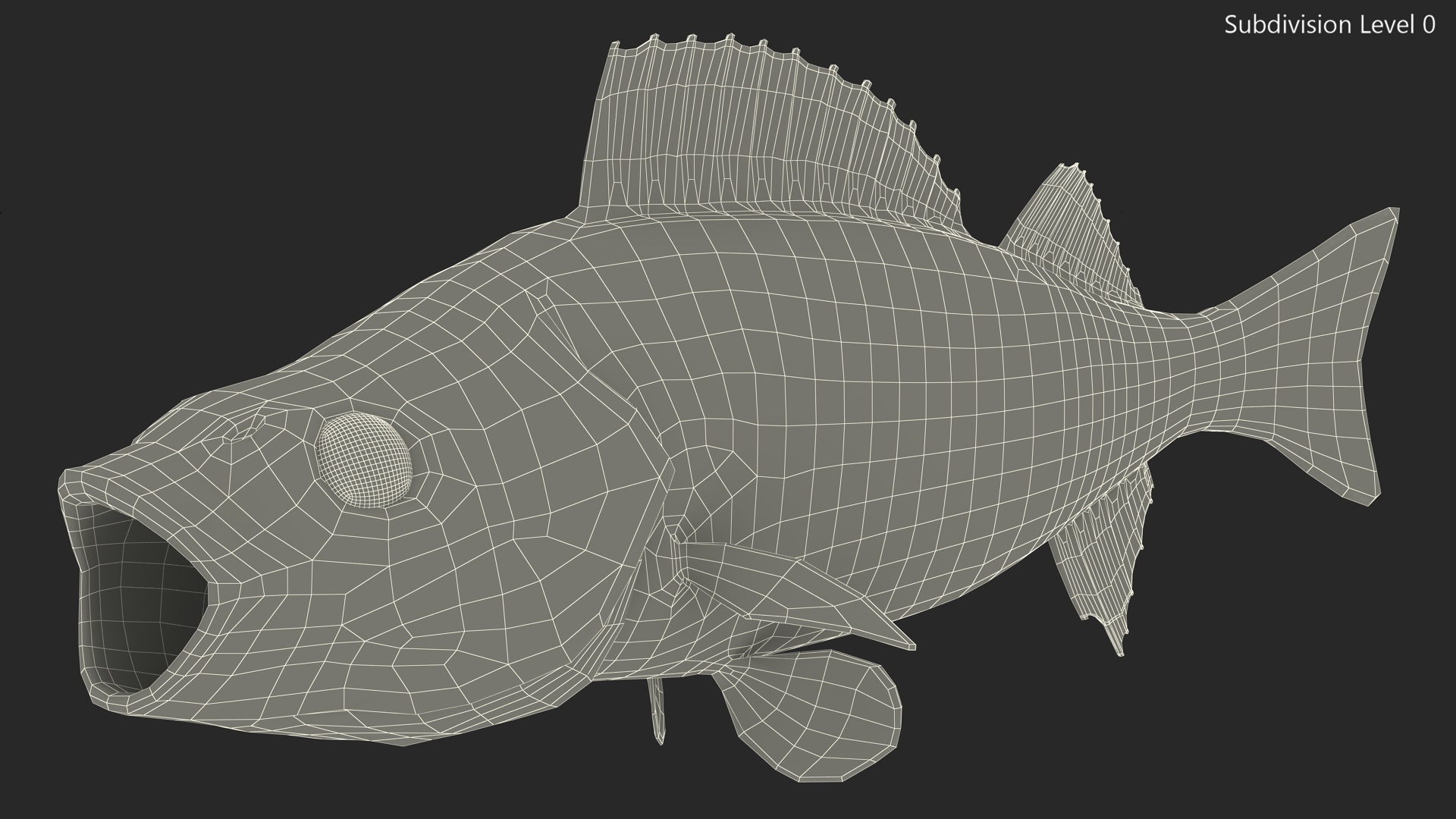 3D Perca Fluviatilis Rigged for Cinema 4D model