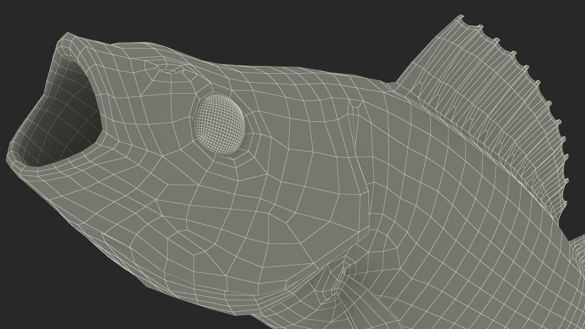 3D Perca Fluviatilis Rigged for Cinema 4D model